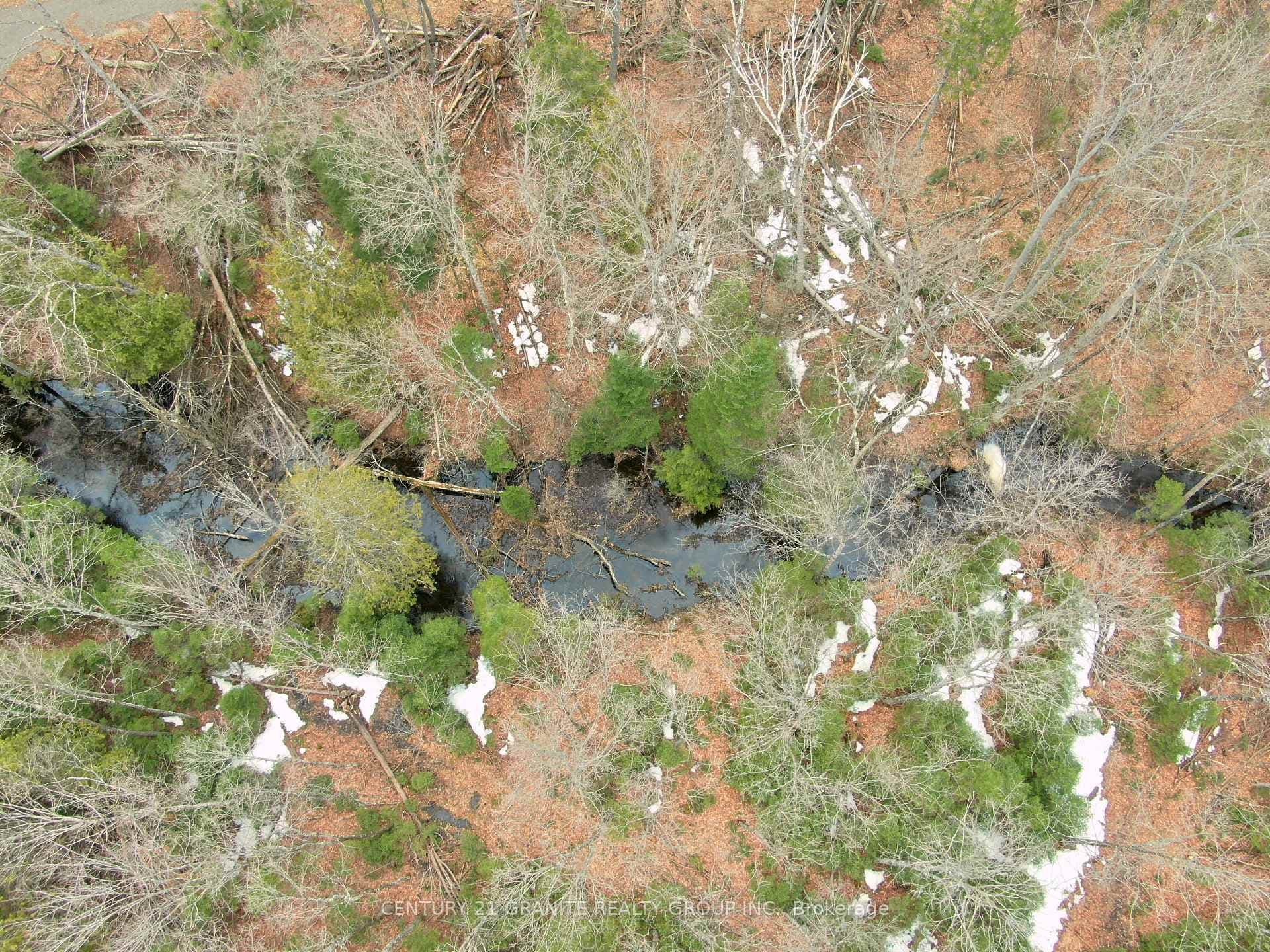 0 Steenburg Lake North Road photo 13