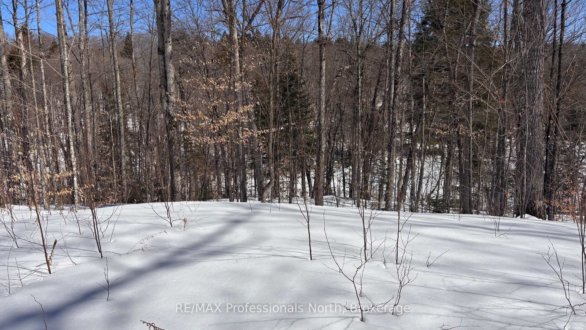 Lot 26 Flatwater Cove Trail photo 9
