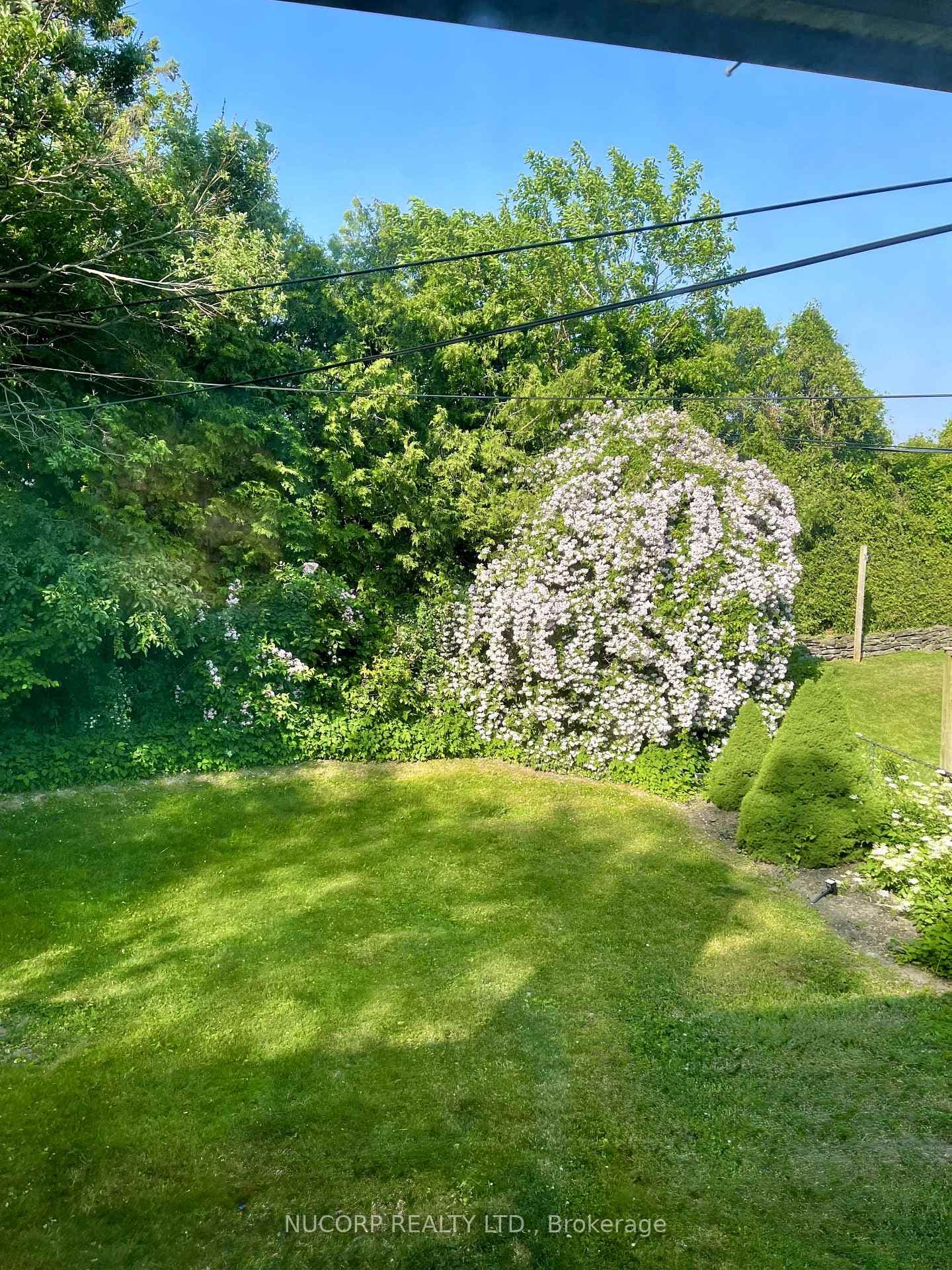 7 Bayshill Drive photo 31