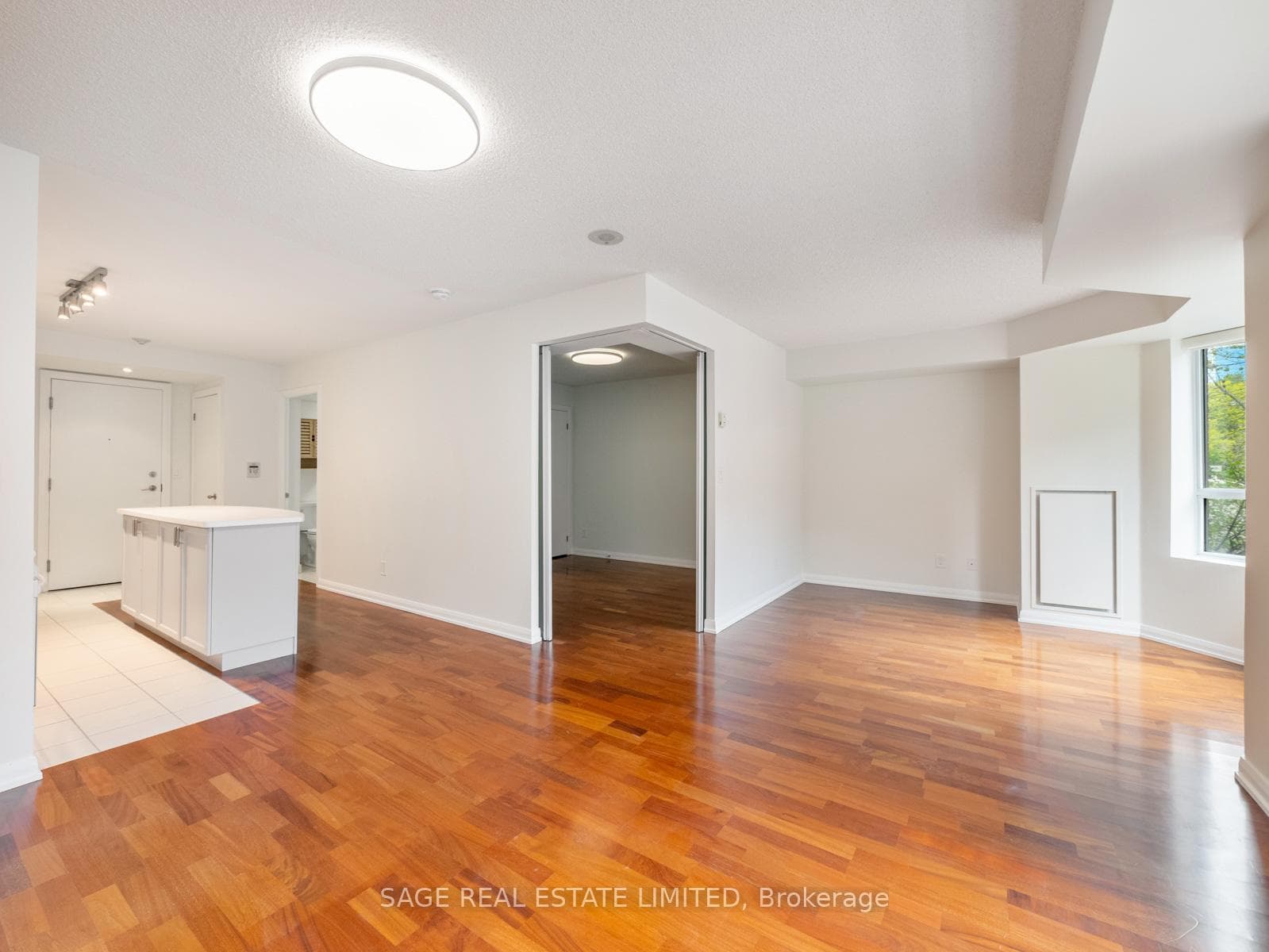 18 Beverley Street Unit 209 photo 12