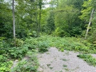605 GRANTS SETTLEMENT Road photo 4