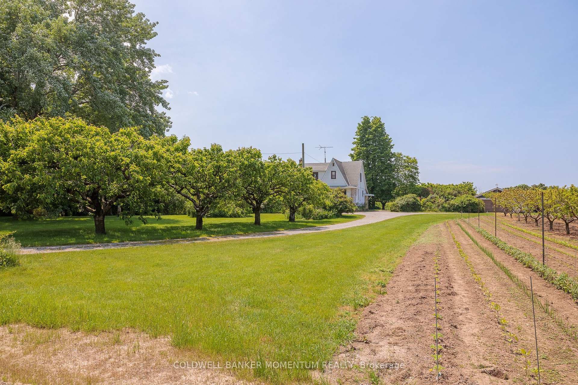 1496 Irvine Road photo 36