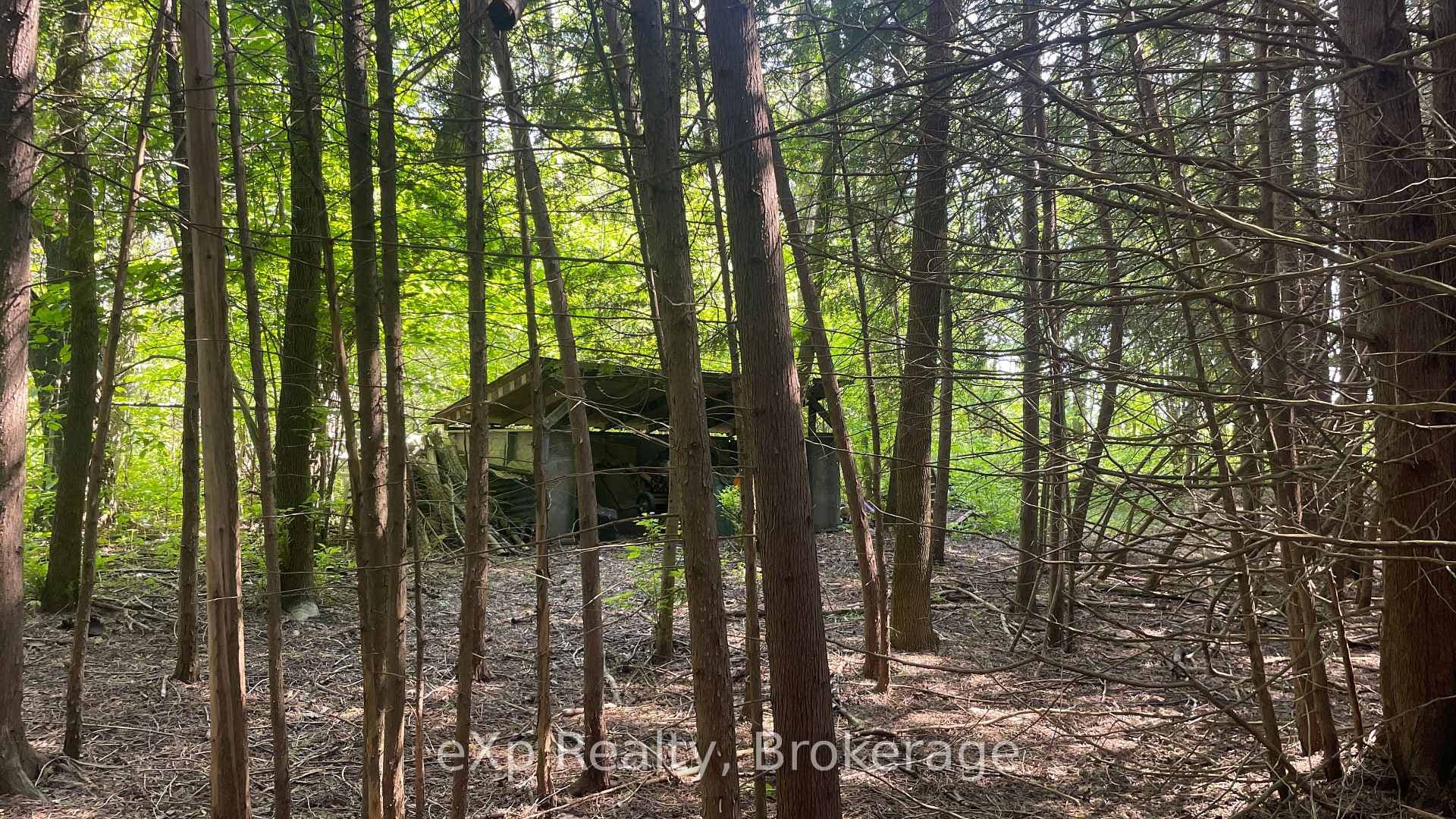 45 7th Avenue photo 17
