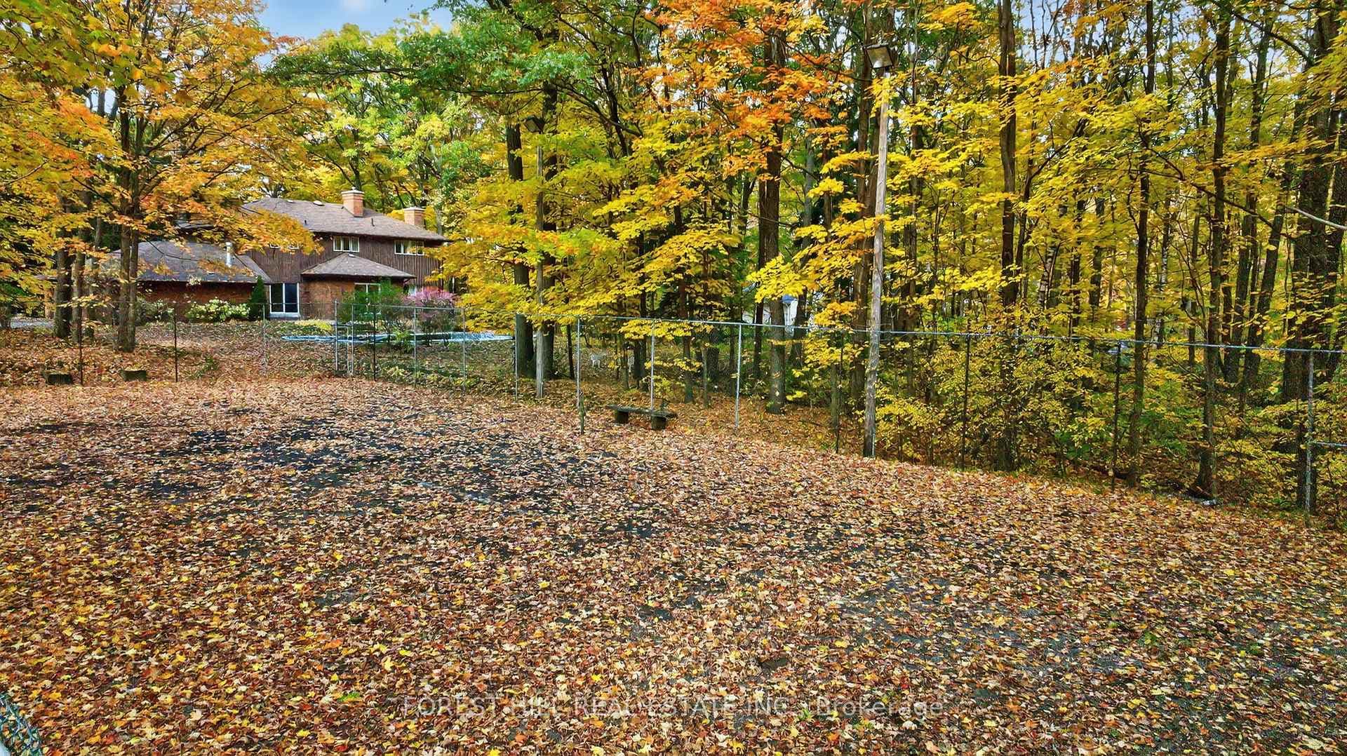 124 Forest Ridge Road photo 43