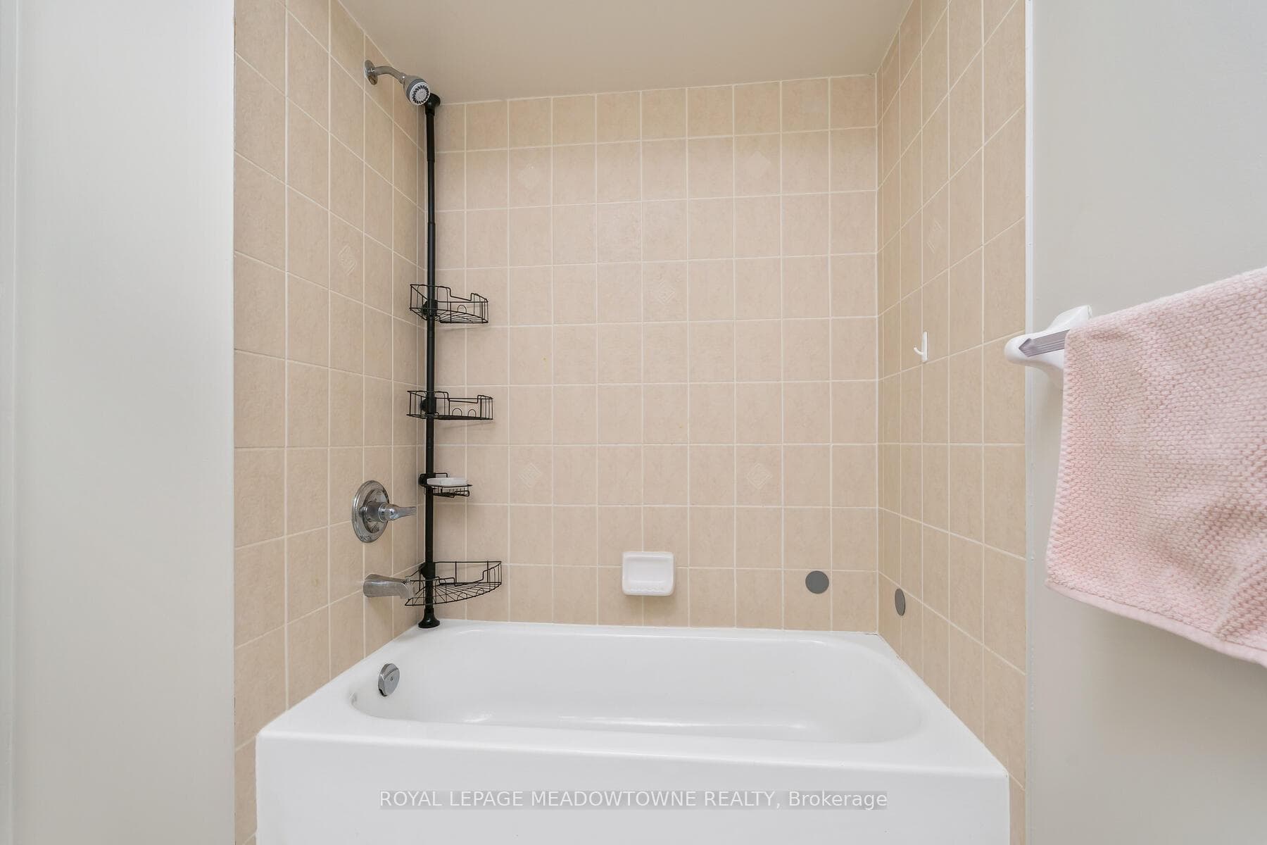 99 Snowberry Crescent photo 28