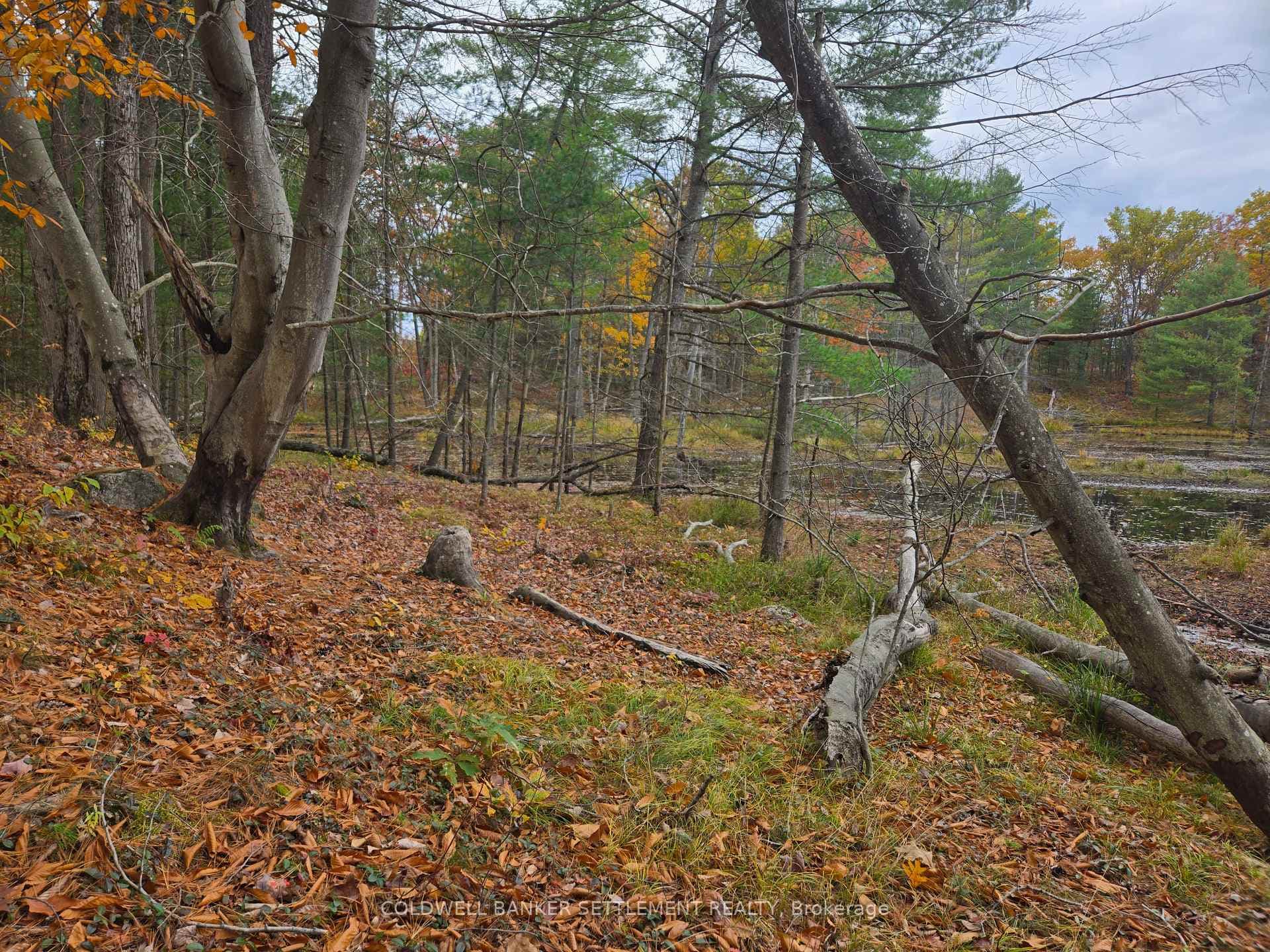 0 Cranberry Lake Road photo 11