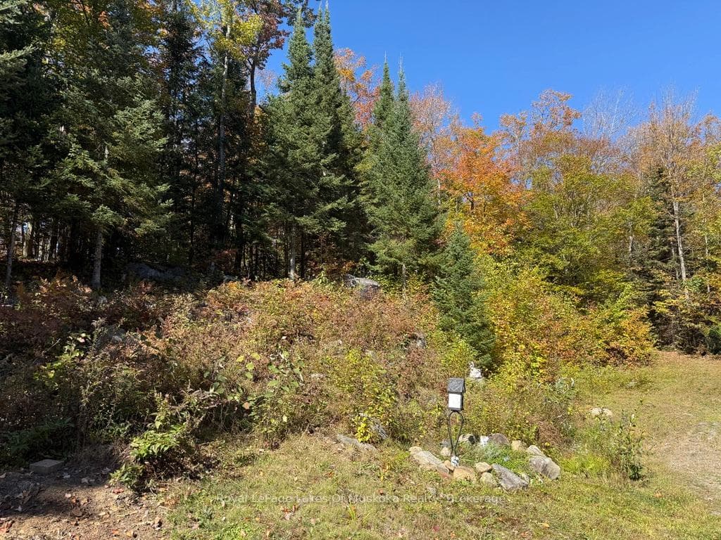 1118 Stoney Road photo 5