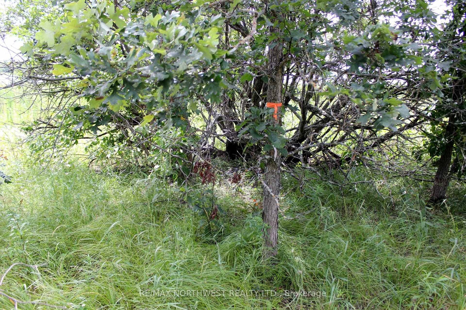 220 MORRISON RD photo 12