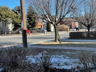 27 Evans Avenue Unit Bsmt photo 19
