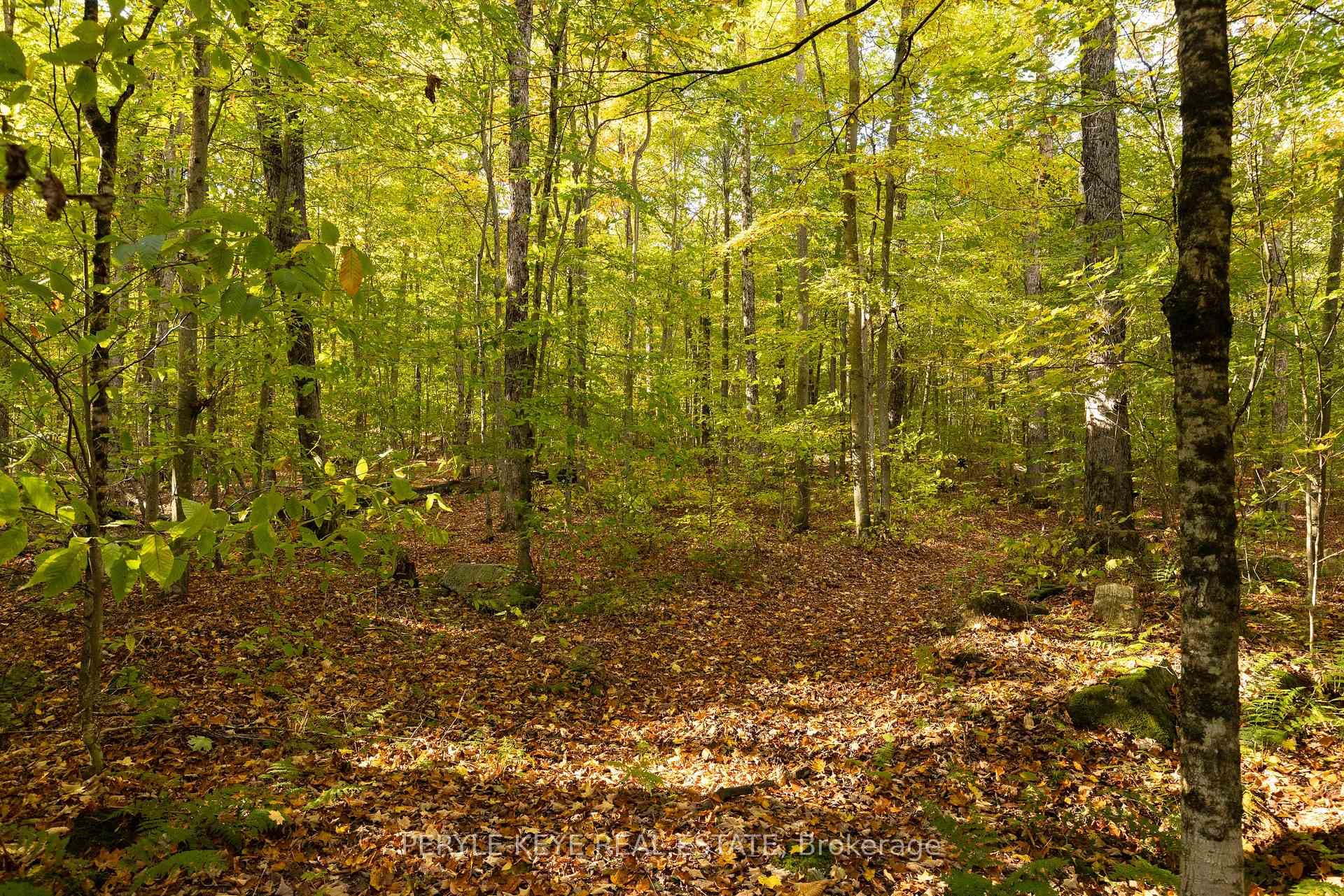 N/A South Menominee Lake Road photo 13