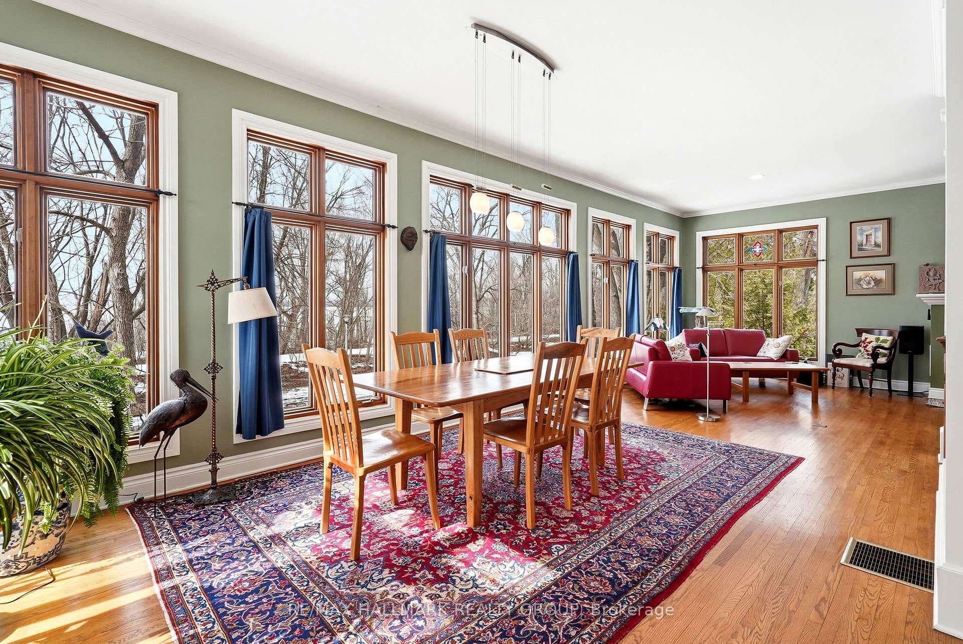 53 Scrivens Street photo 23