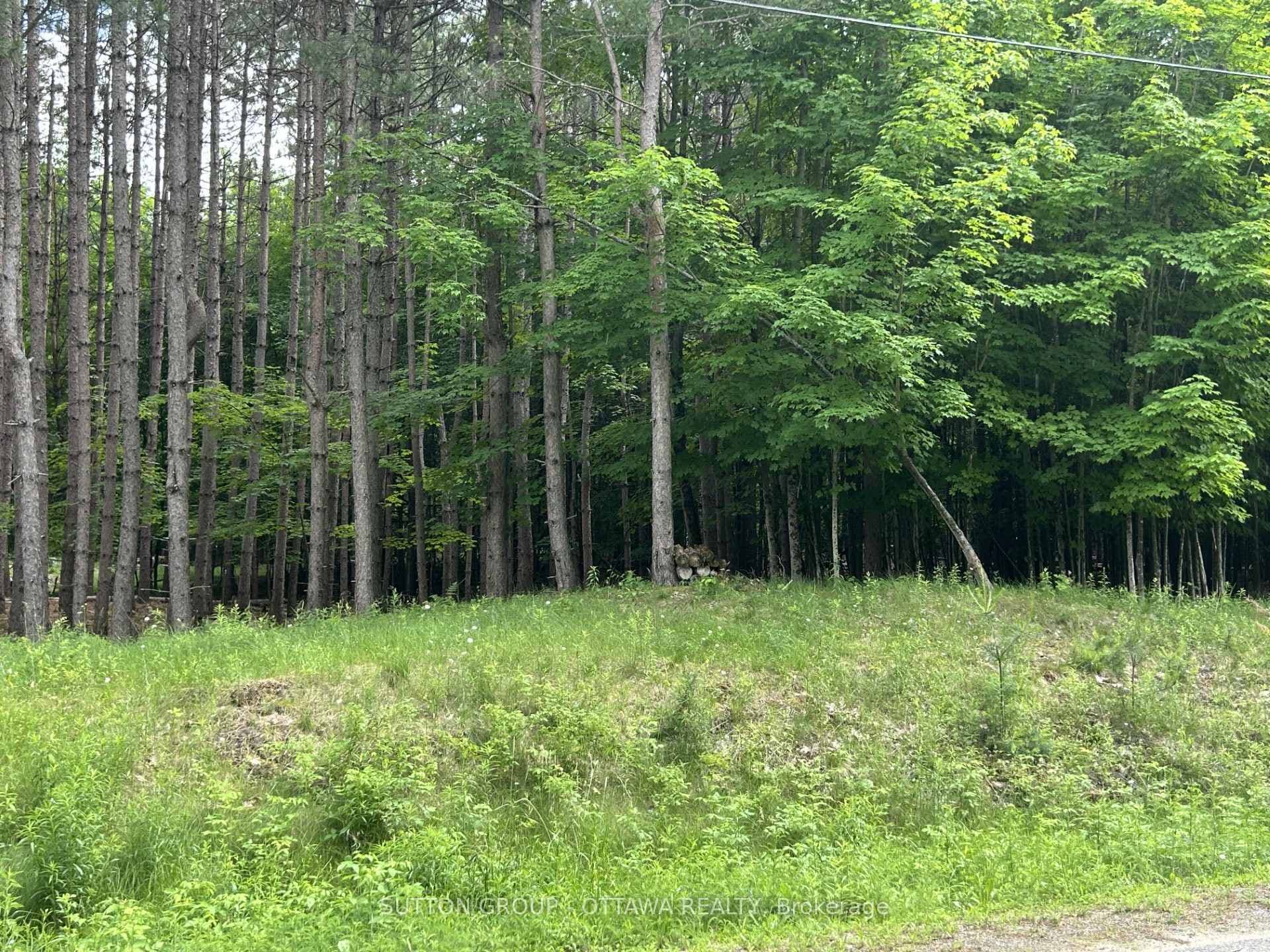 2 Maple Bush Trail photo 2