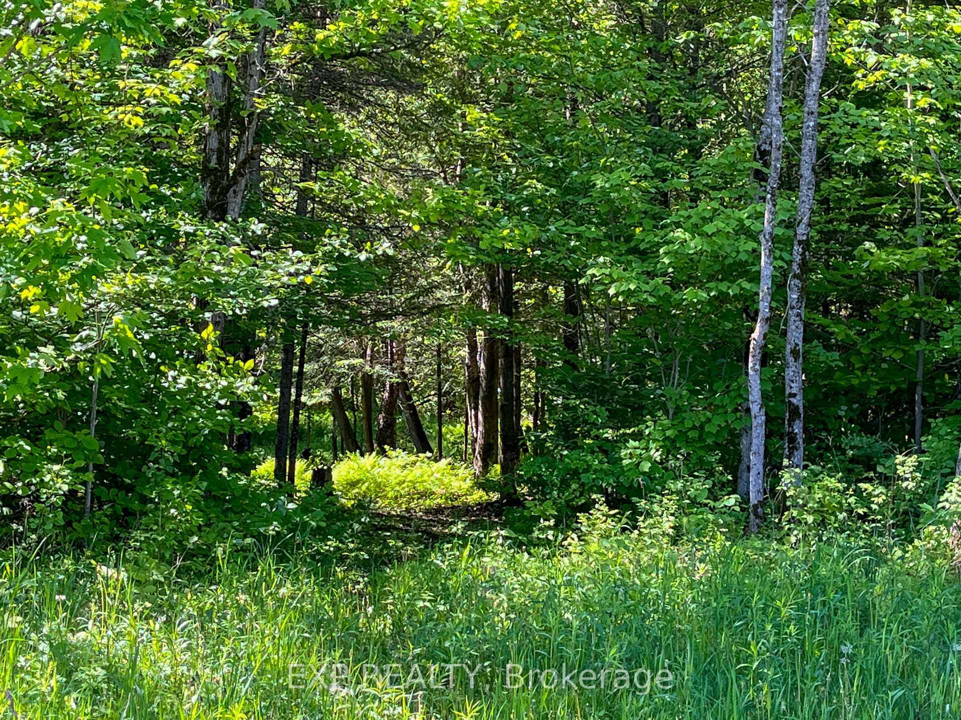 00 Johnston Road photo 8