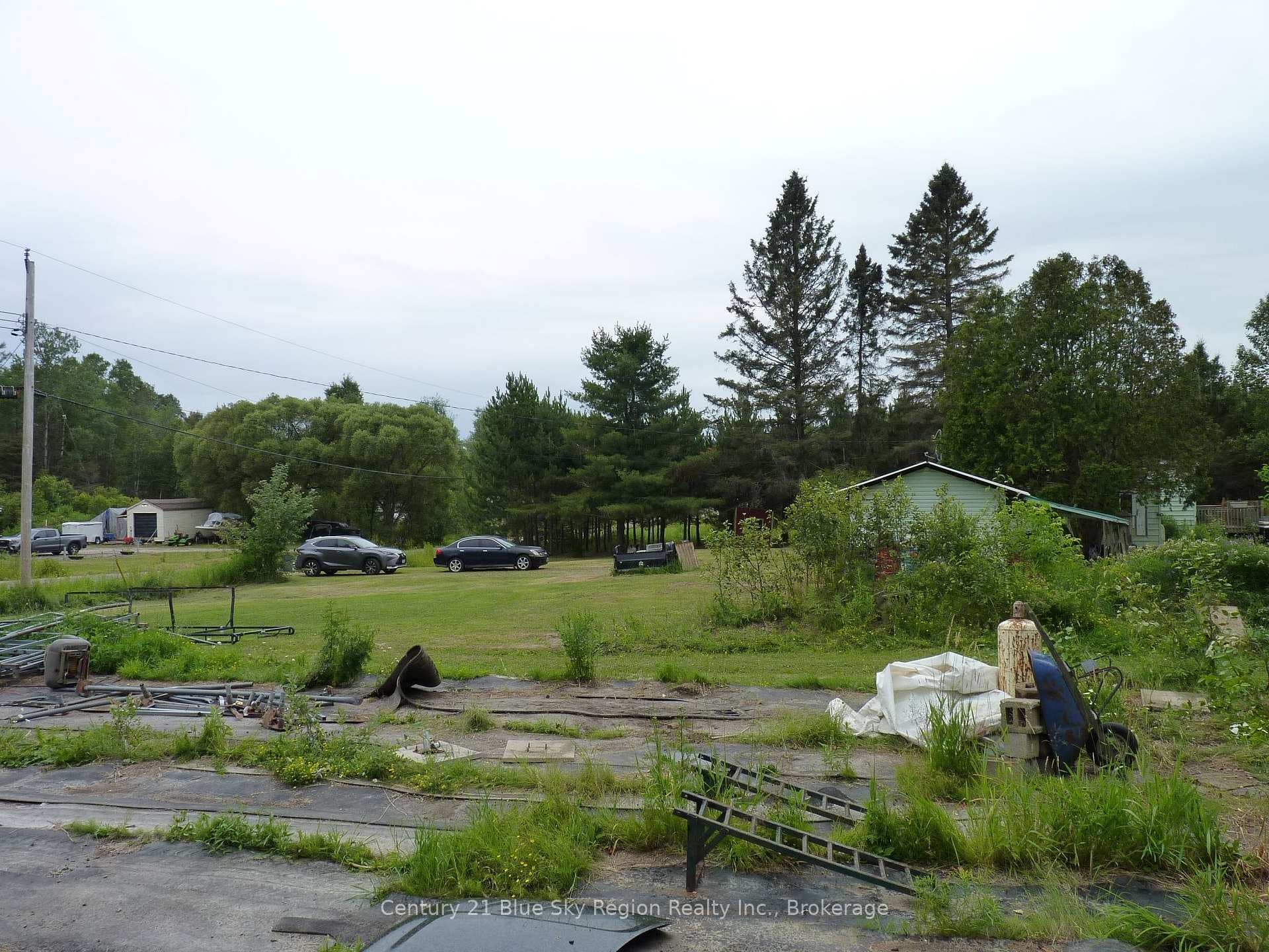 50 Feronia Road photo 11