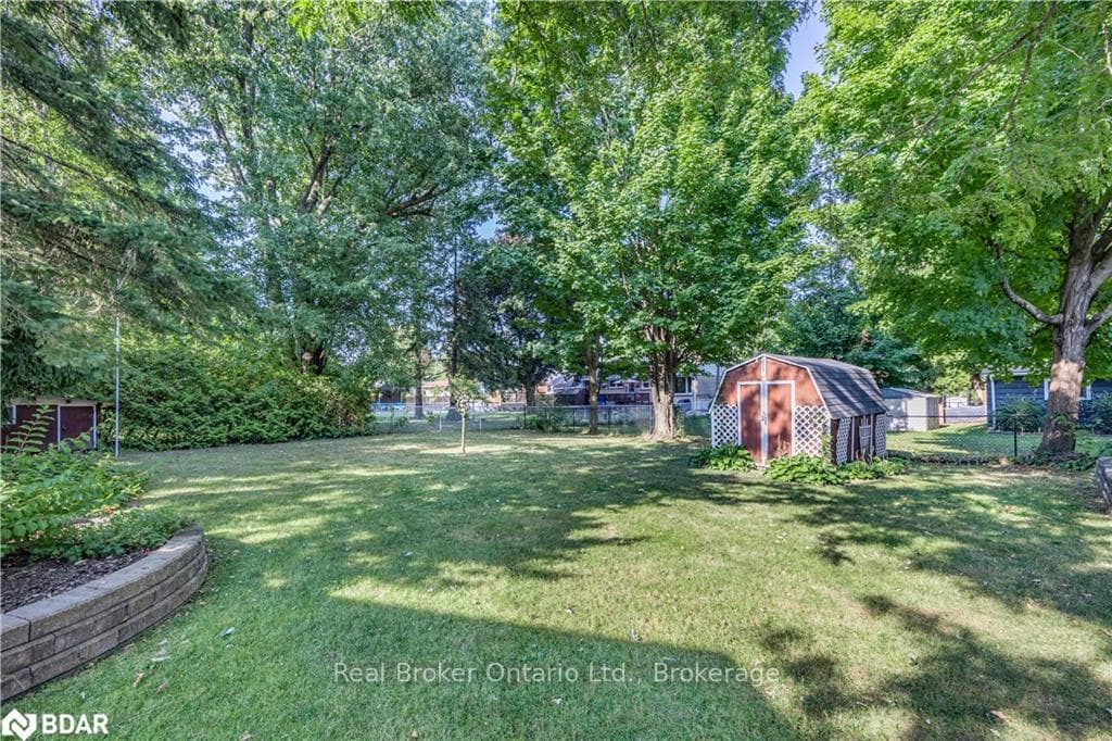 32 BORLAND Street photo 22
