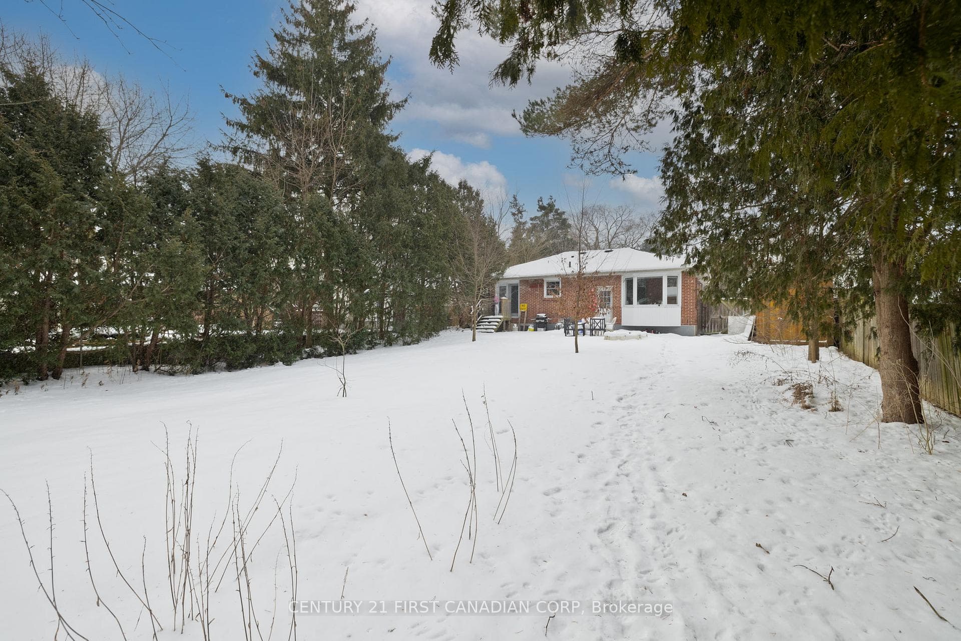 74 Barker Street photo 27