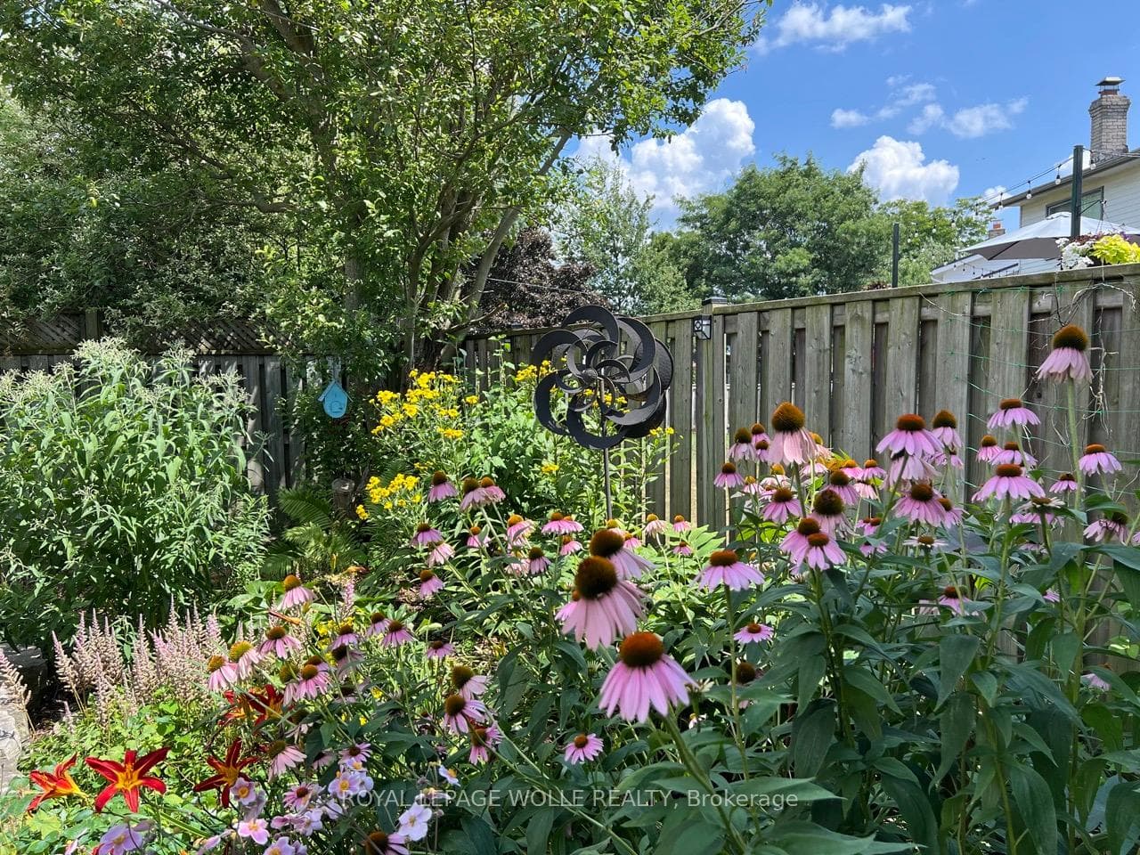 Perennial flowers