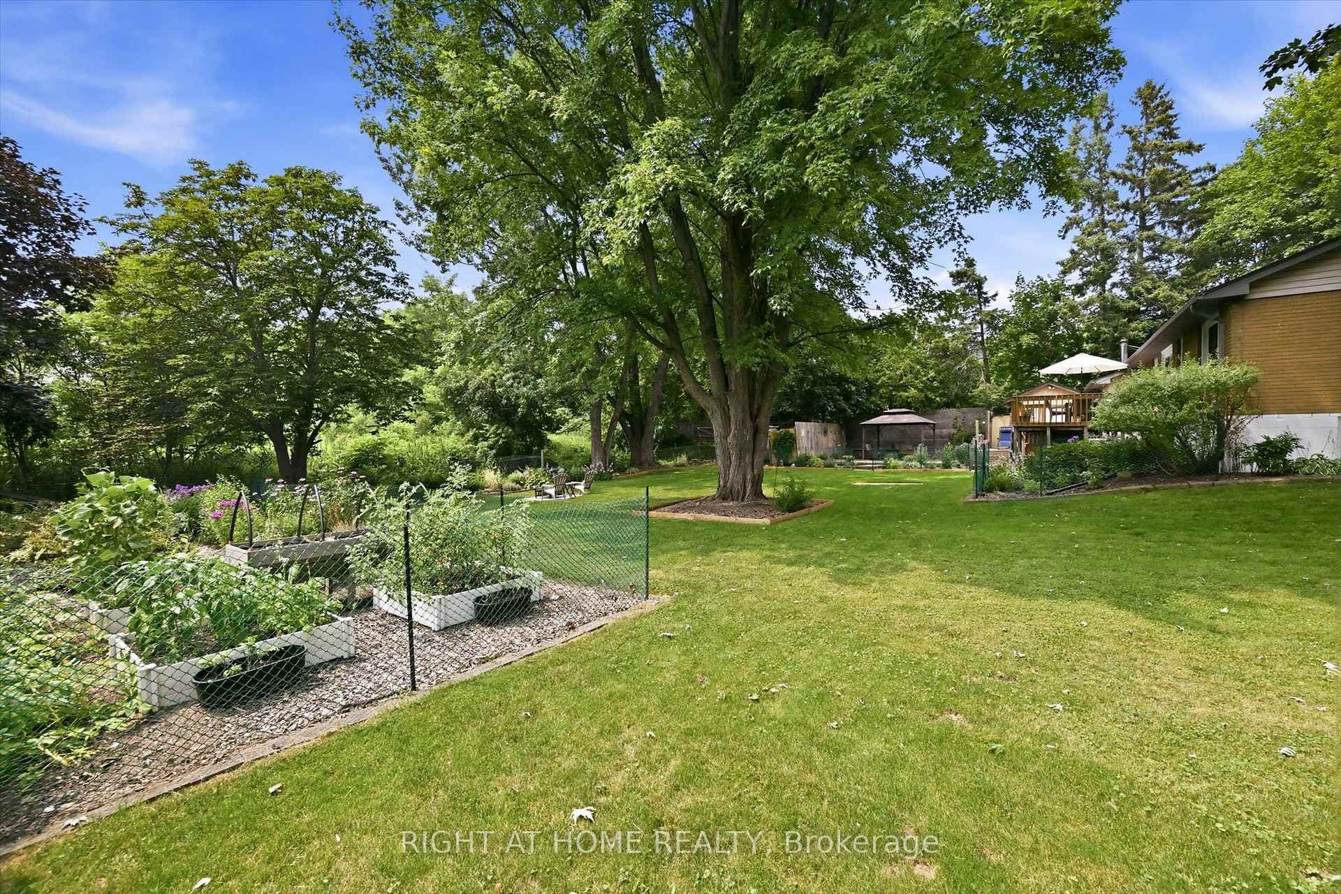 263 Weir's Lane photo 38