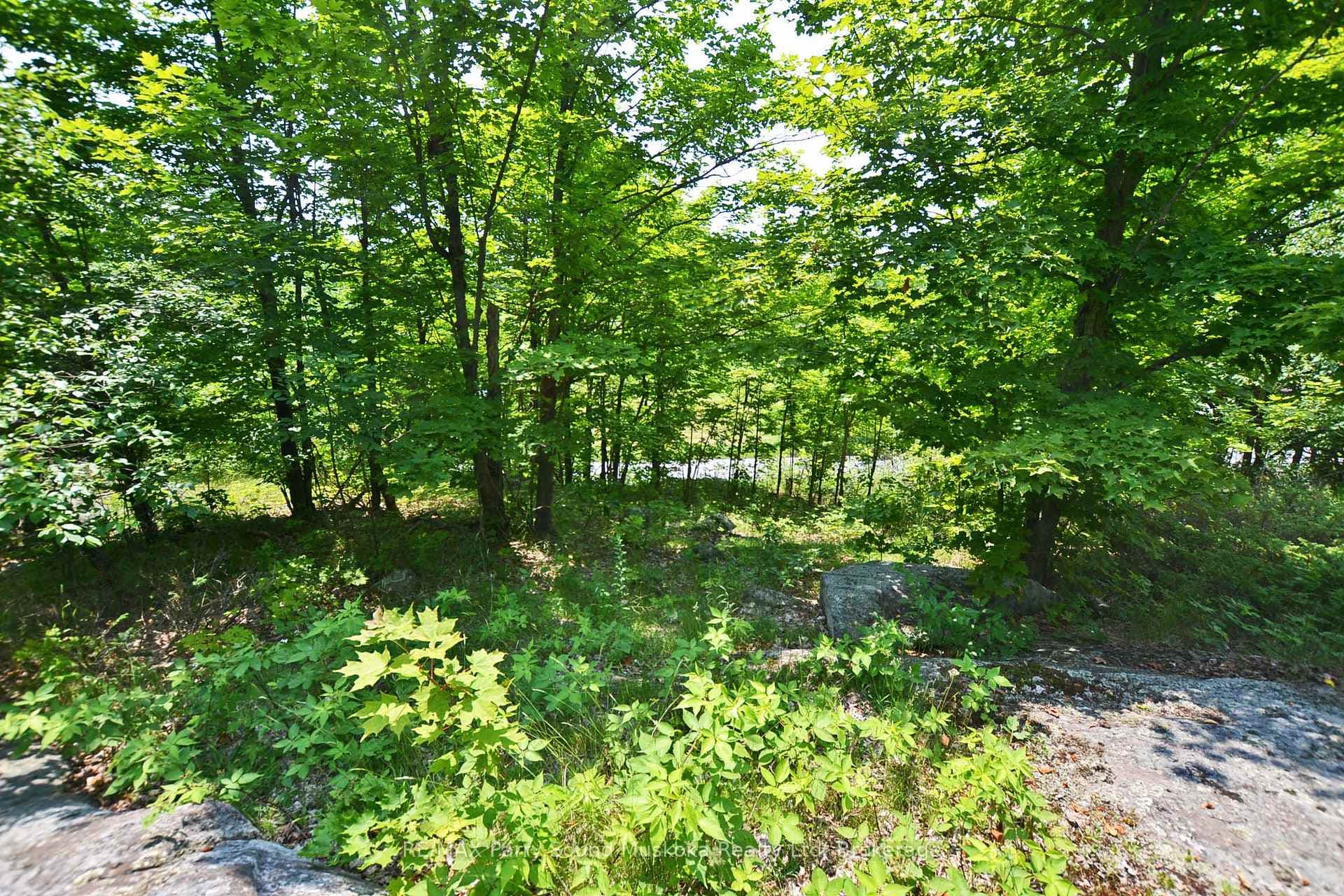 Private Treed Setting - Good Building Site