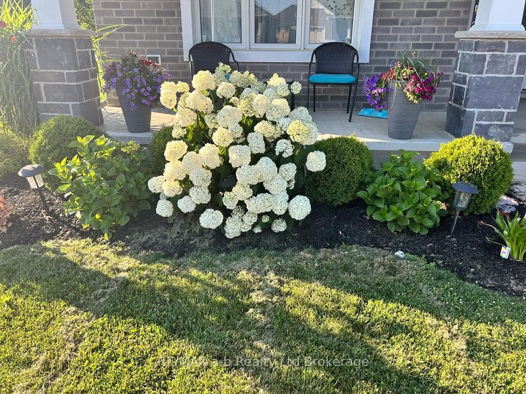 241 Wilson Avenue photo 30