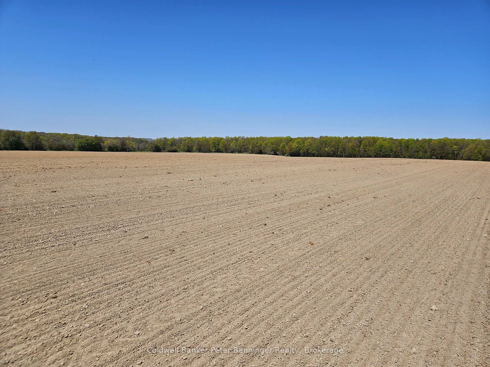 181463 12 Concession photo 29