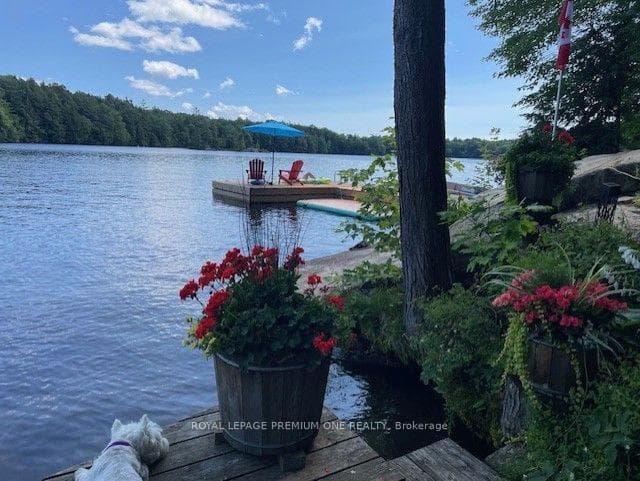 219 Crane Lake Water N/A photo 8