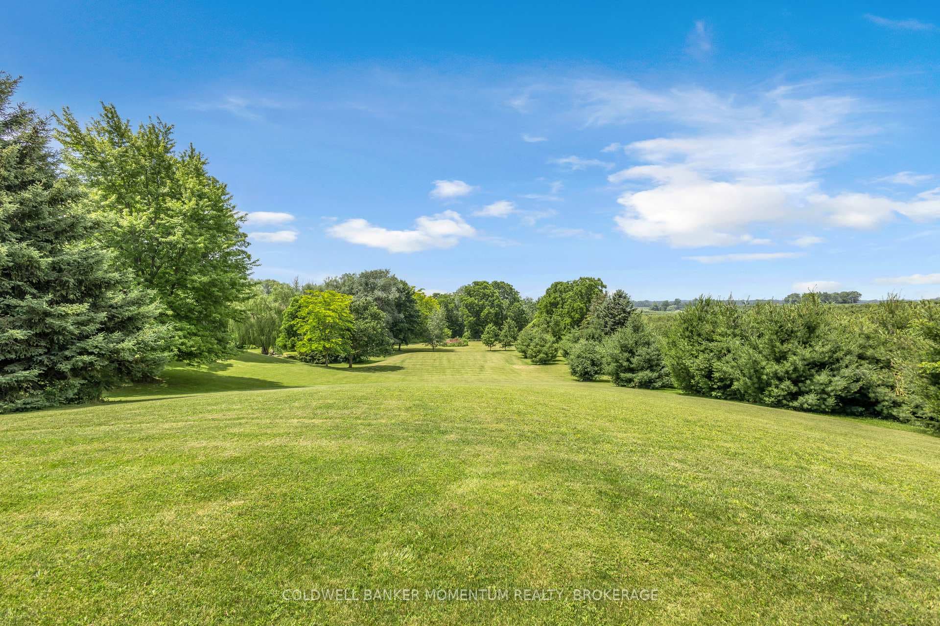 1285 Cockshutt Road, R.R. # 4 Road photo 42