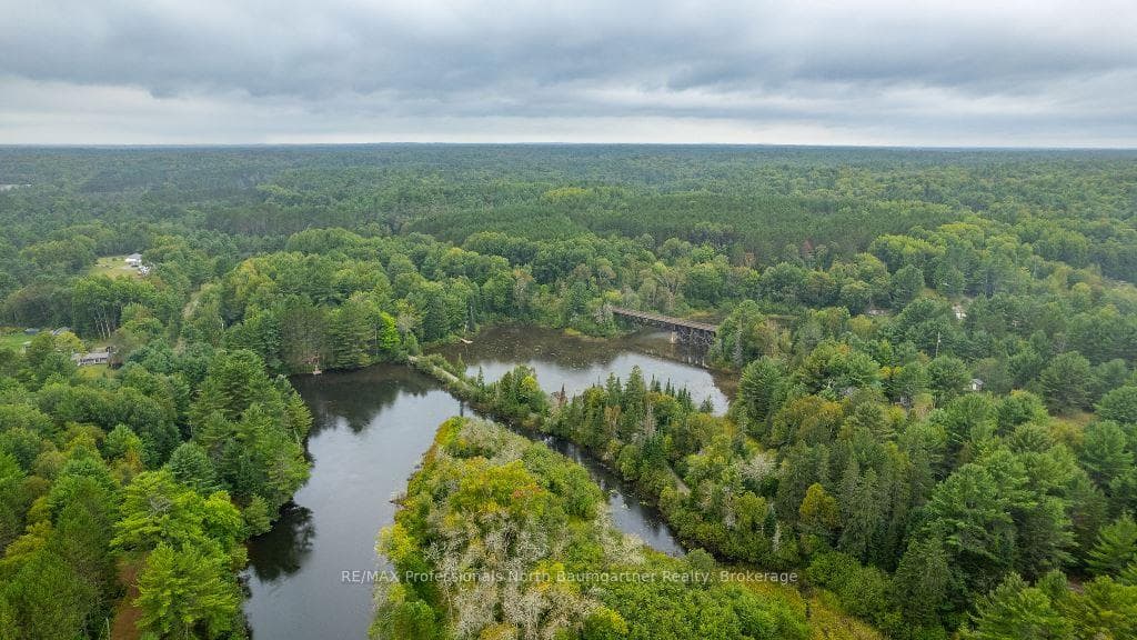 1334 Howland Junction Road photo 39
