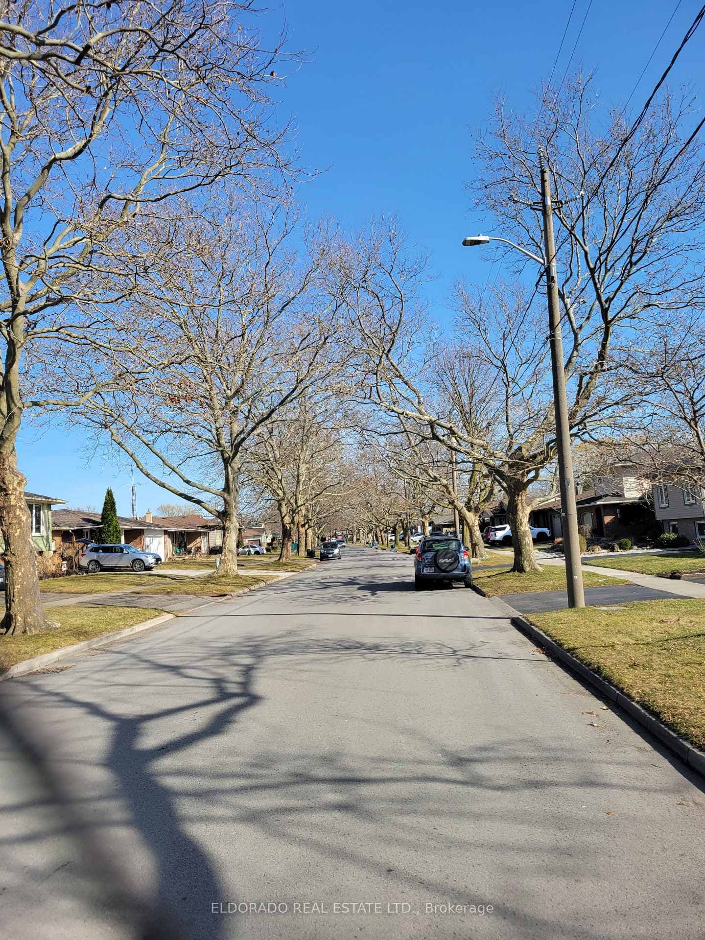 16 Kimbermount Drive photo 6