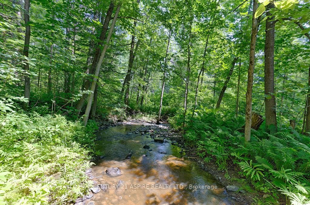 539 Schwan Road photo 46