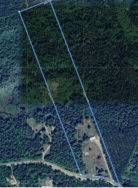 158 Selena Drive photo 32