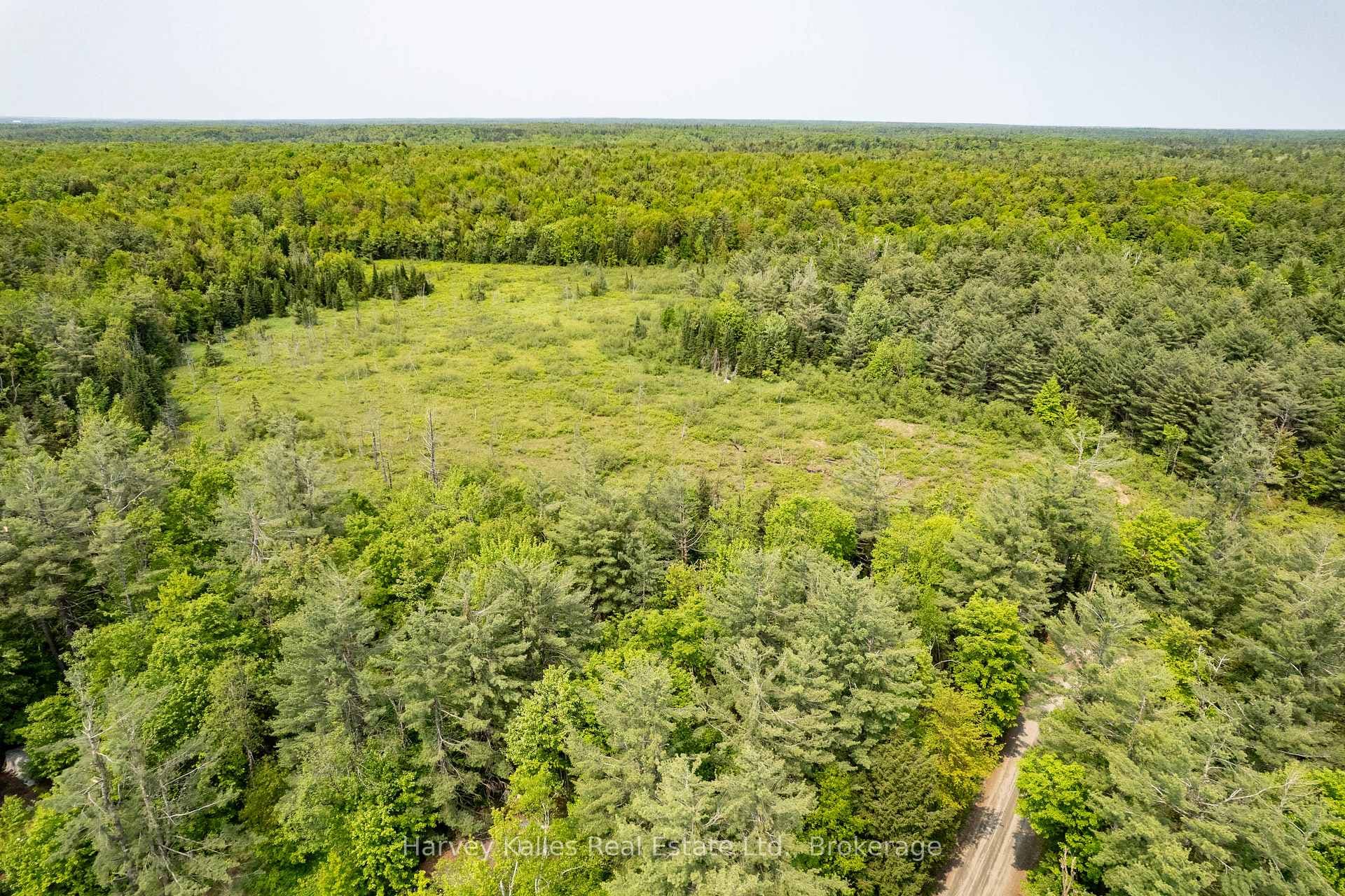 1099 Peterson Road photo 33