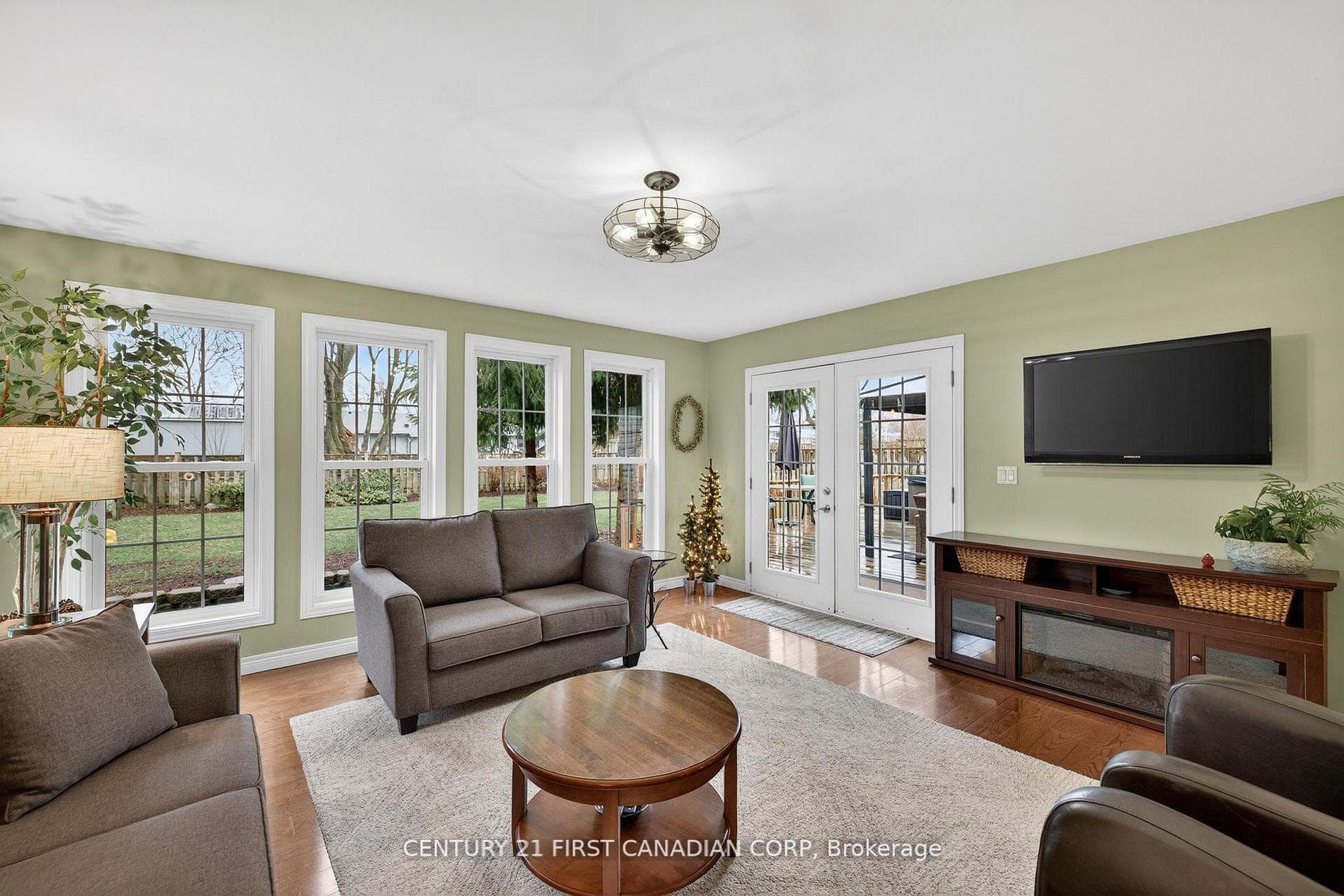 So Much Natural Light!