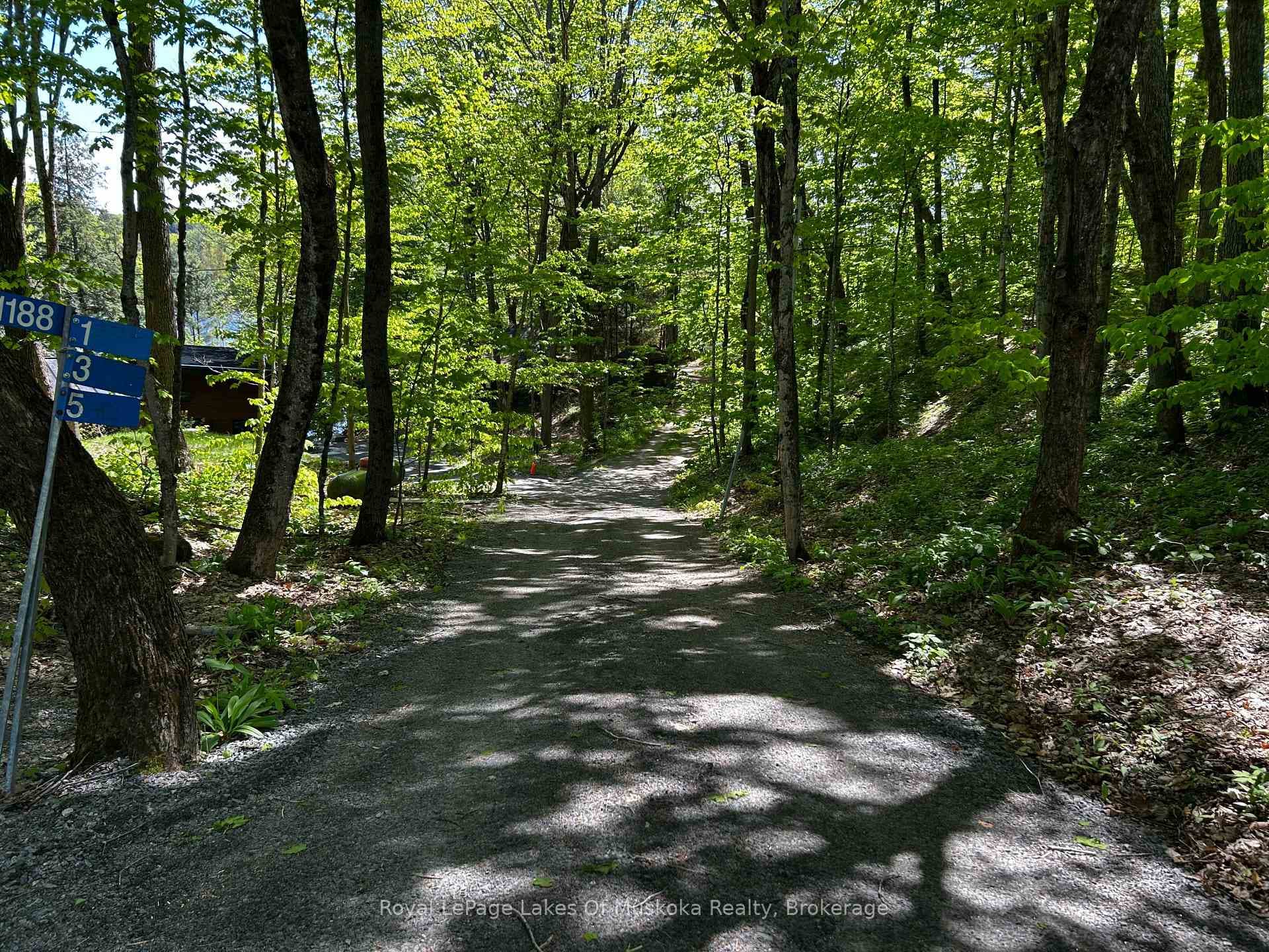 1188 Driveway to Cottage - Tree Covered Privacy