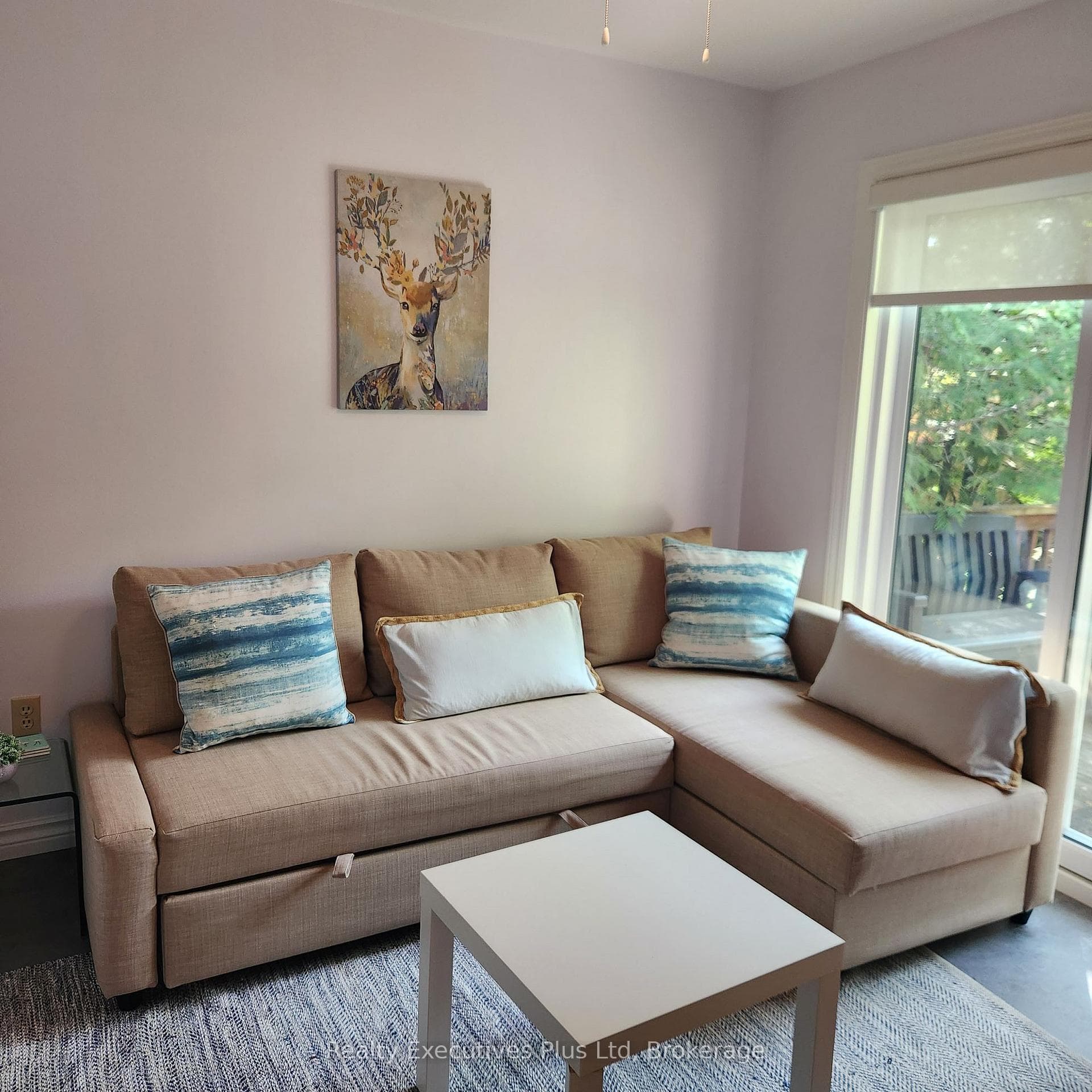 21 Ivy Lane photo 8