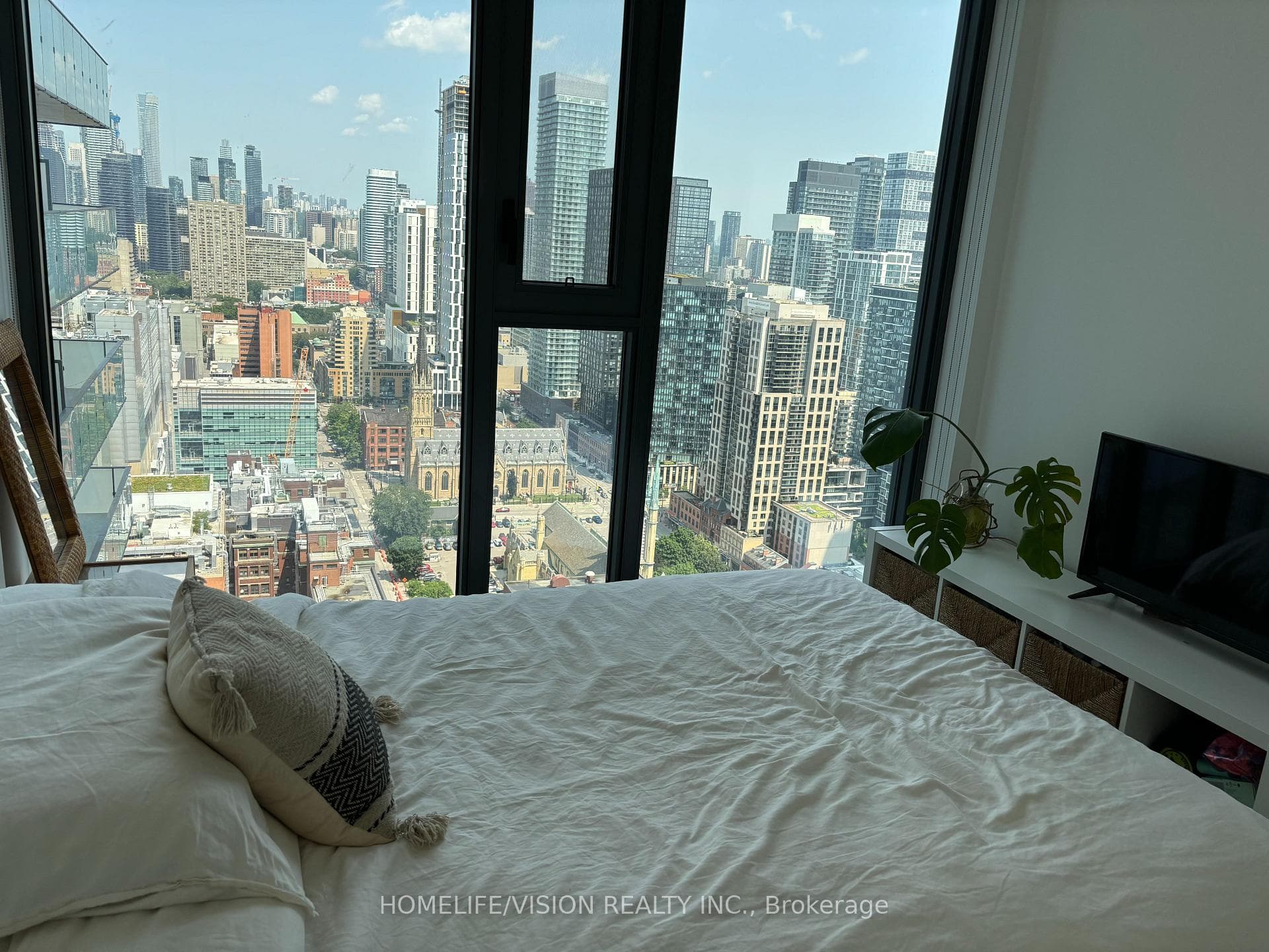 The view