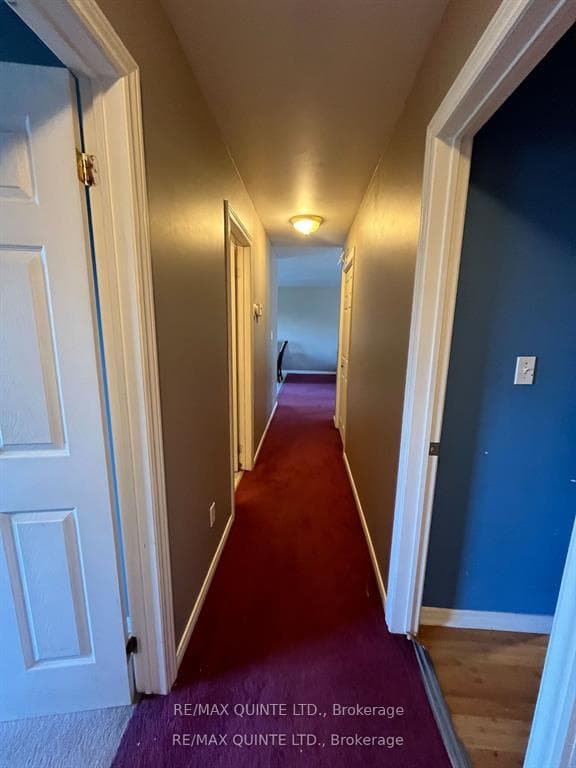 55 Benjamin Street photo 21