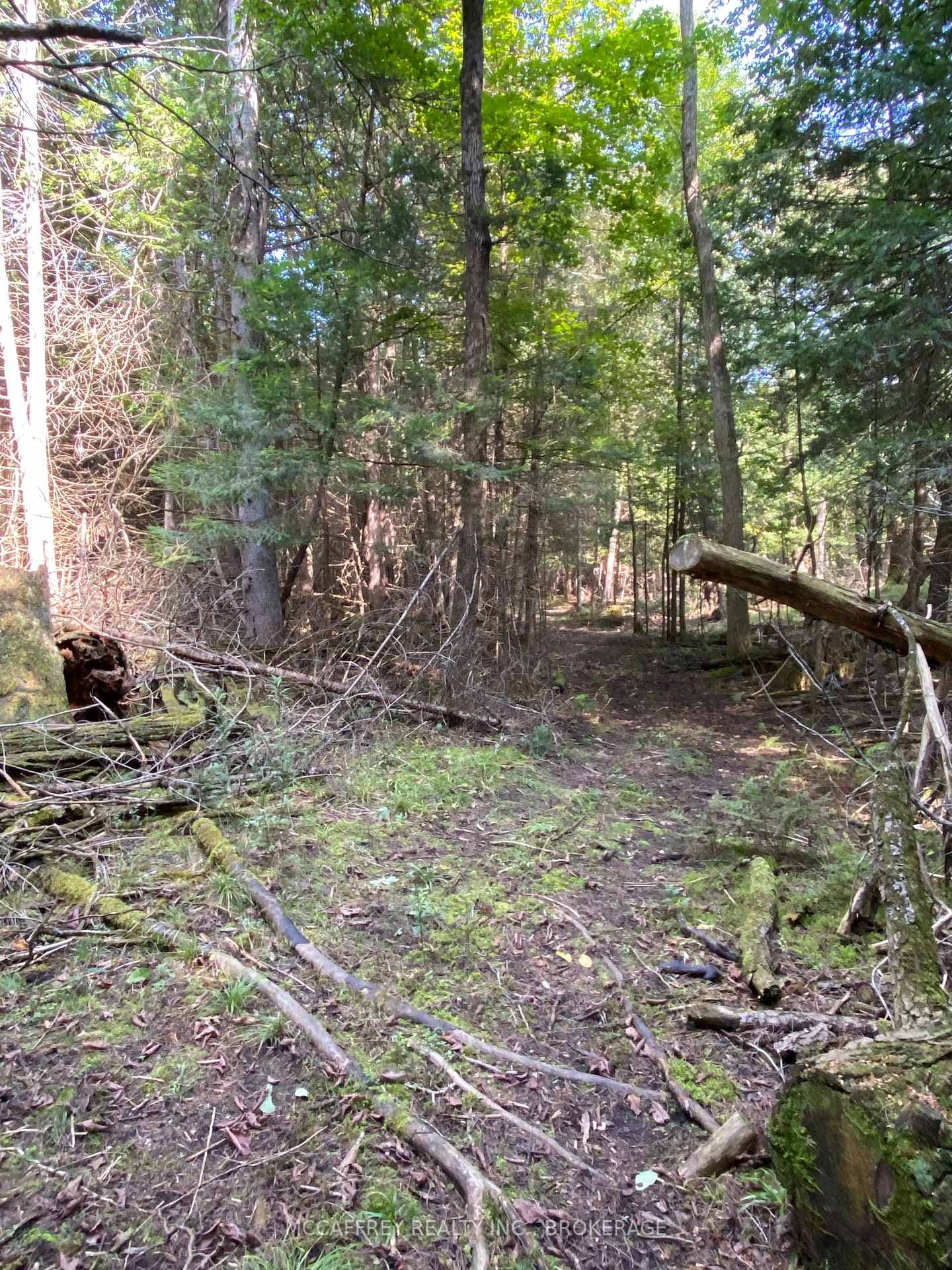 3499 DELORO Road photo 4