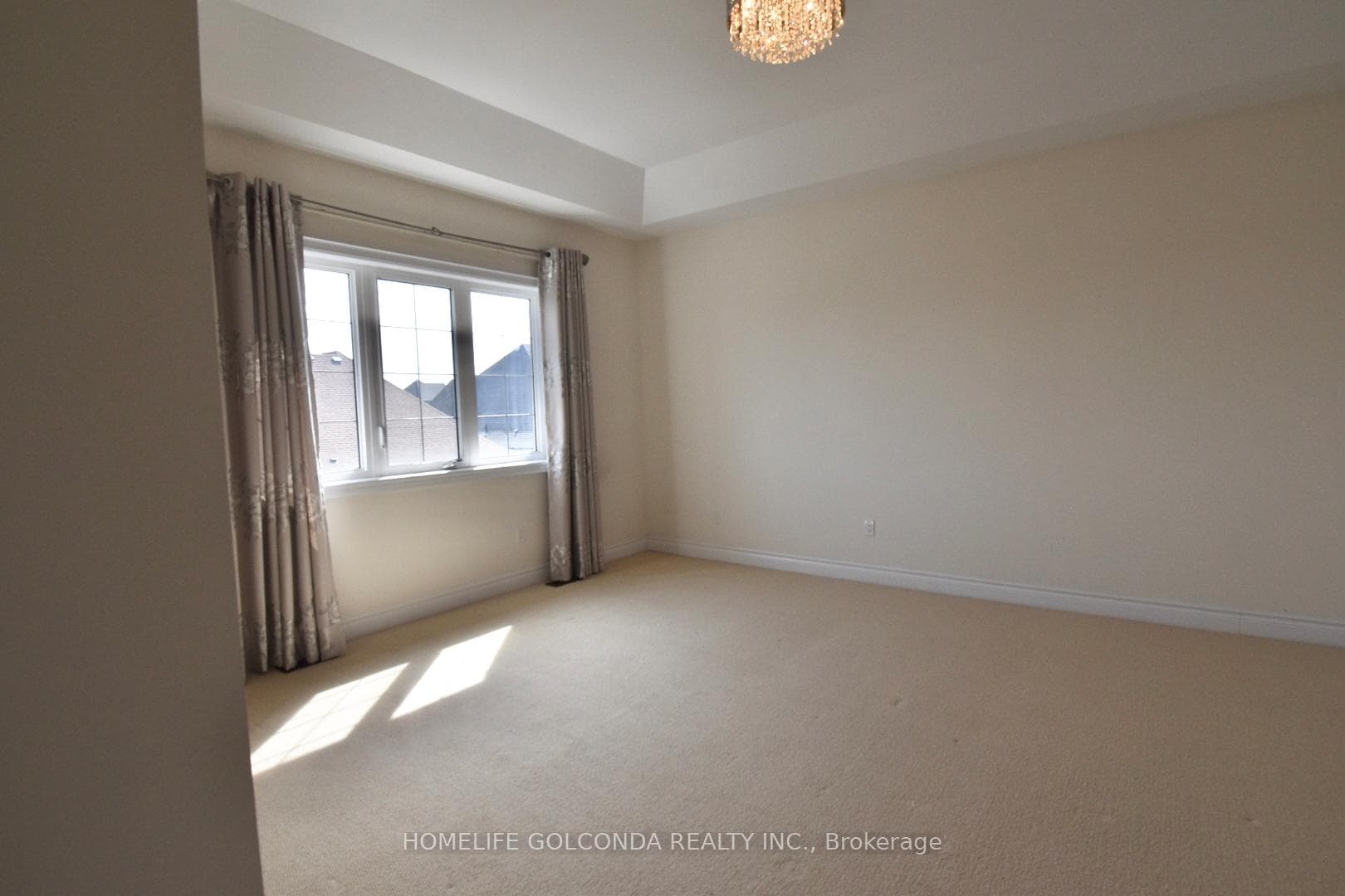 115 Fitzmaurice Drive photo 12