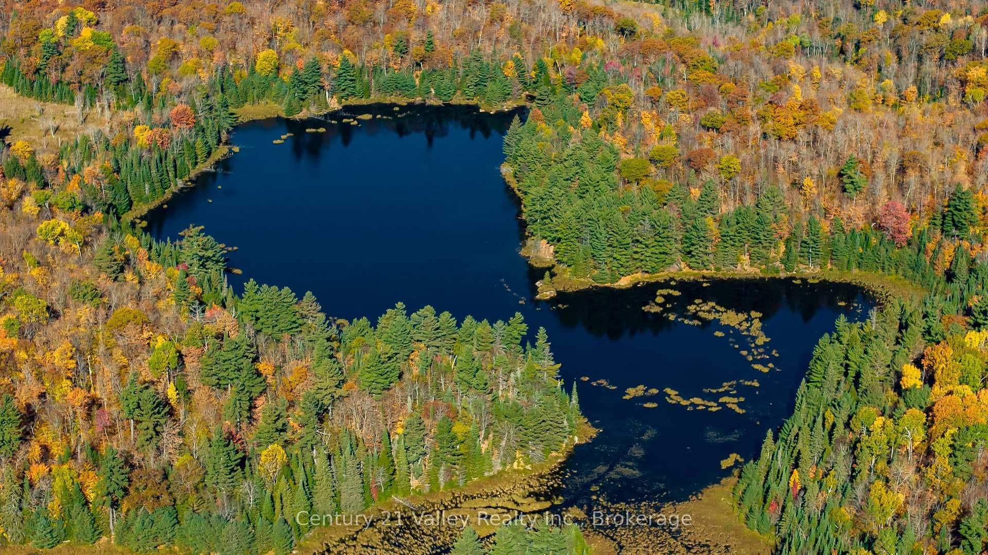 170 Schavens Lake Road photo 13