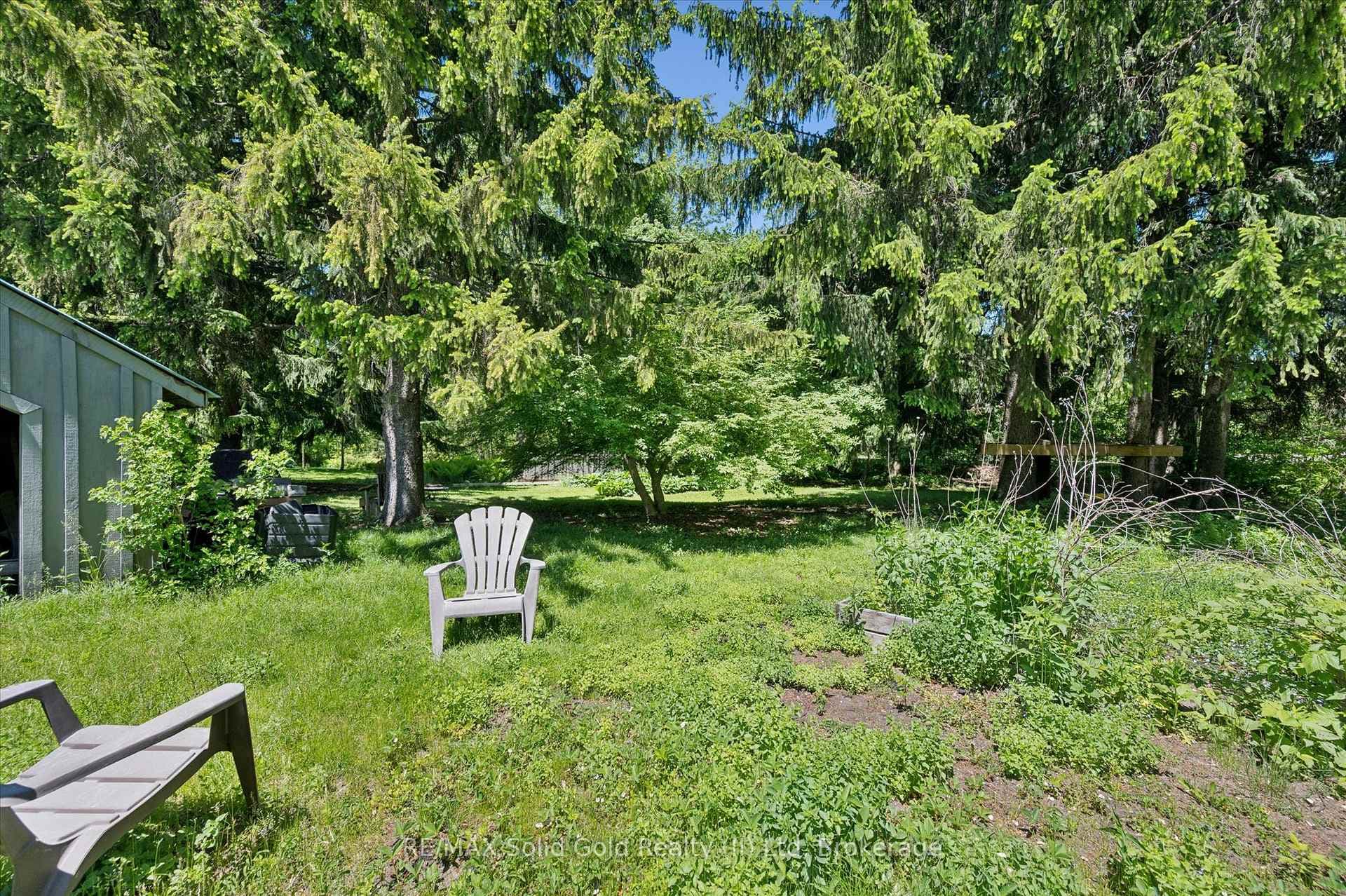 74 Homewood Avenue photo 34