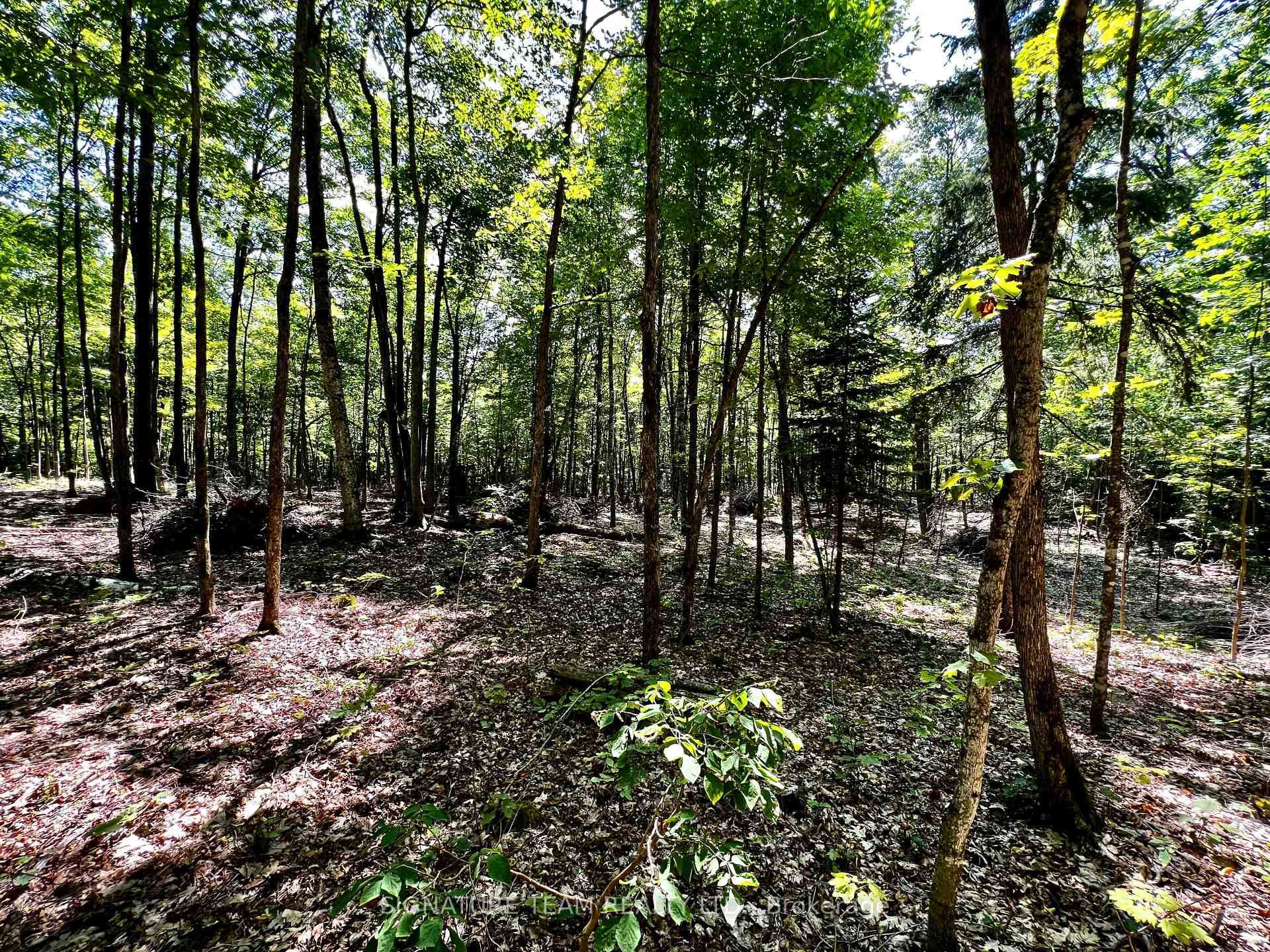 0 Nordic Lane photo 29