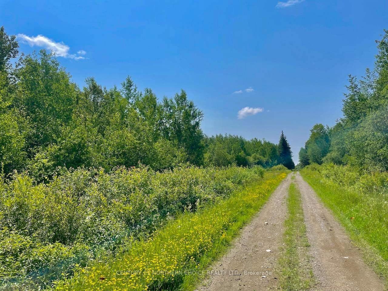 160 Bolen Road photo 1
