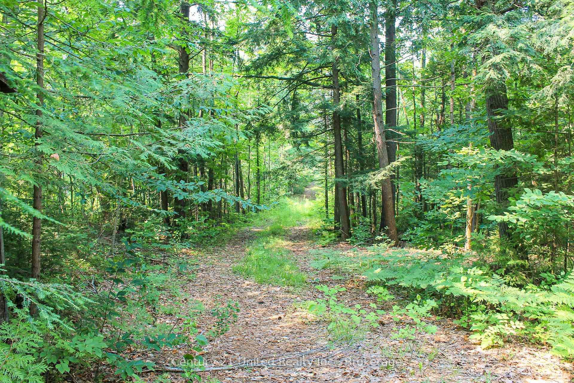 00 McKee Avenue photo 12
