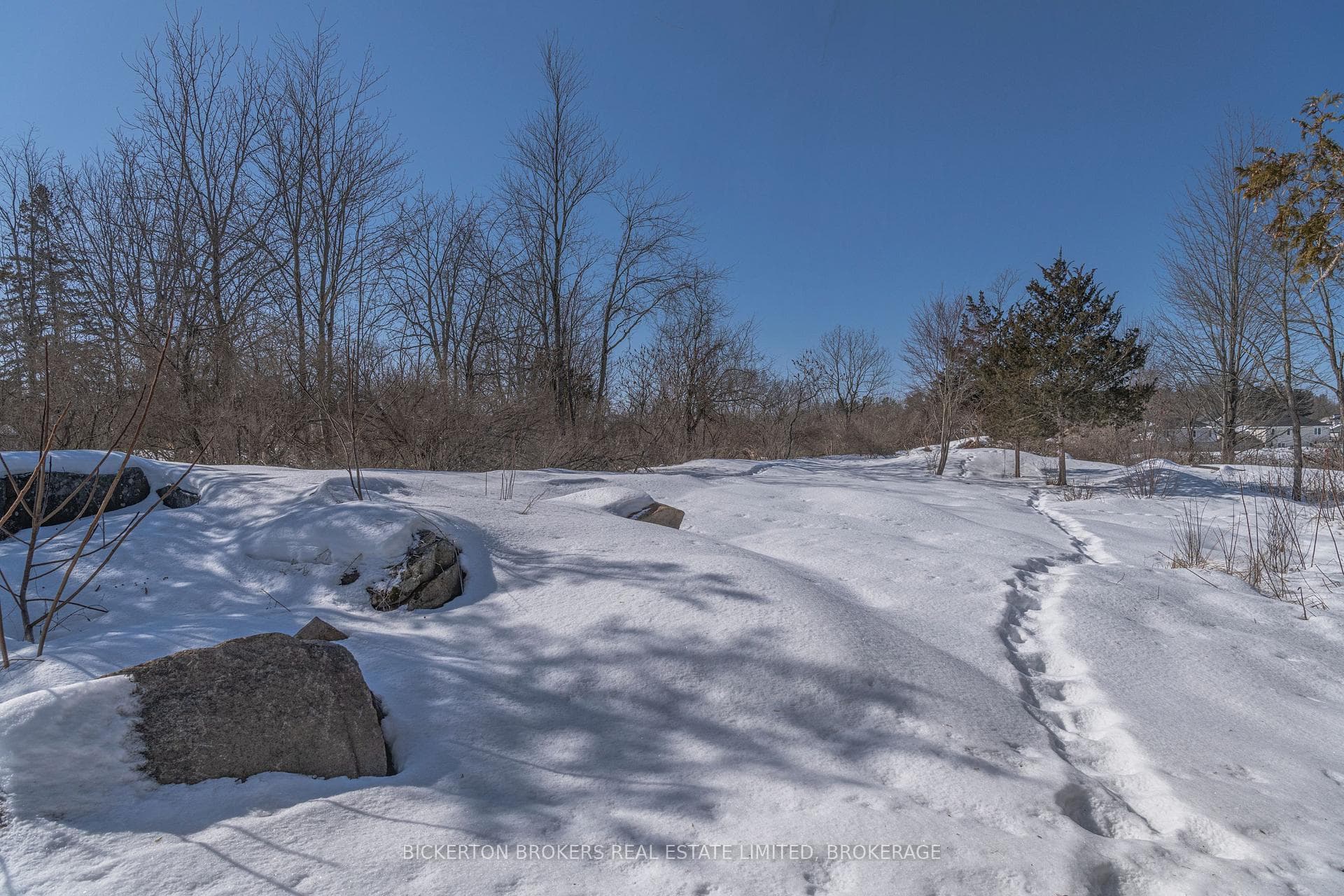 110 Birch Street photo 2