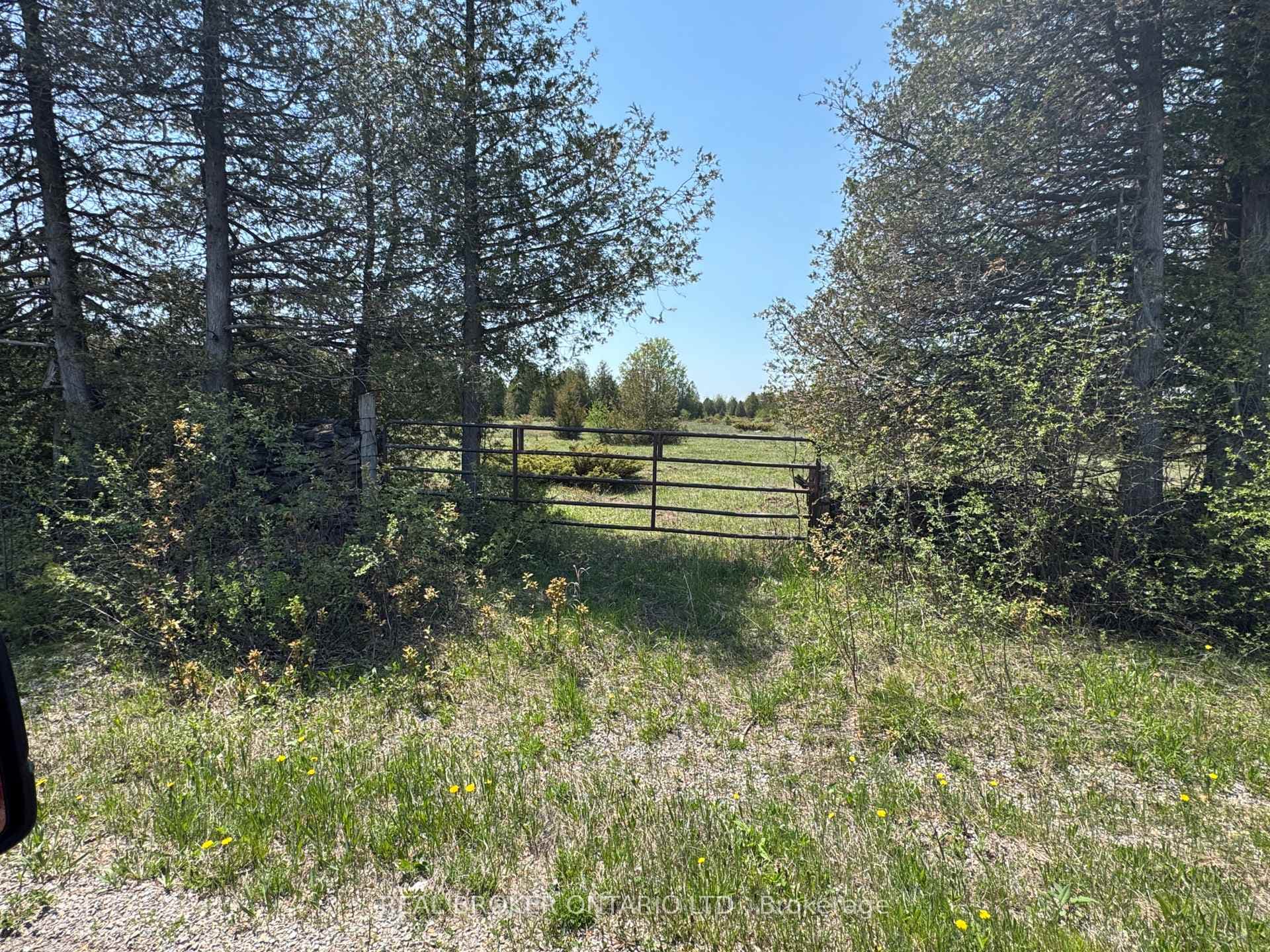 00 WILLIAM CAMPBELL Road photo 7