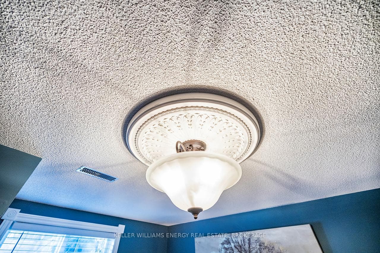Ceiling medallion