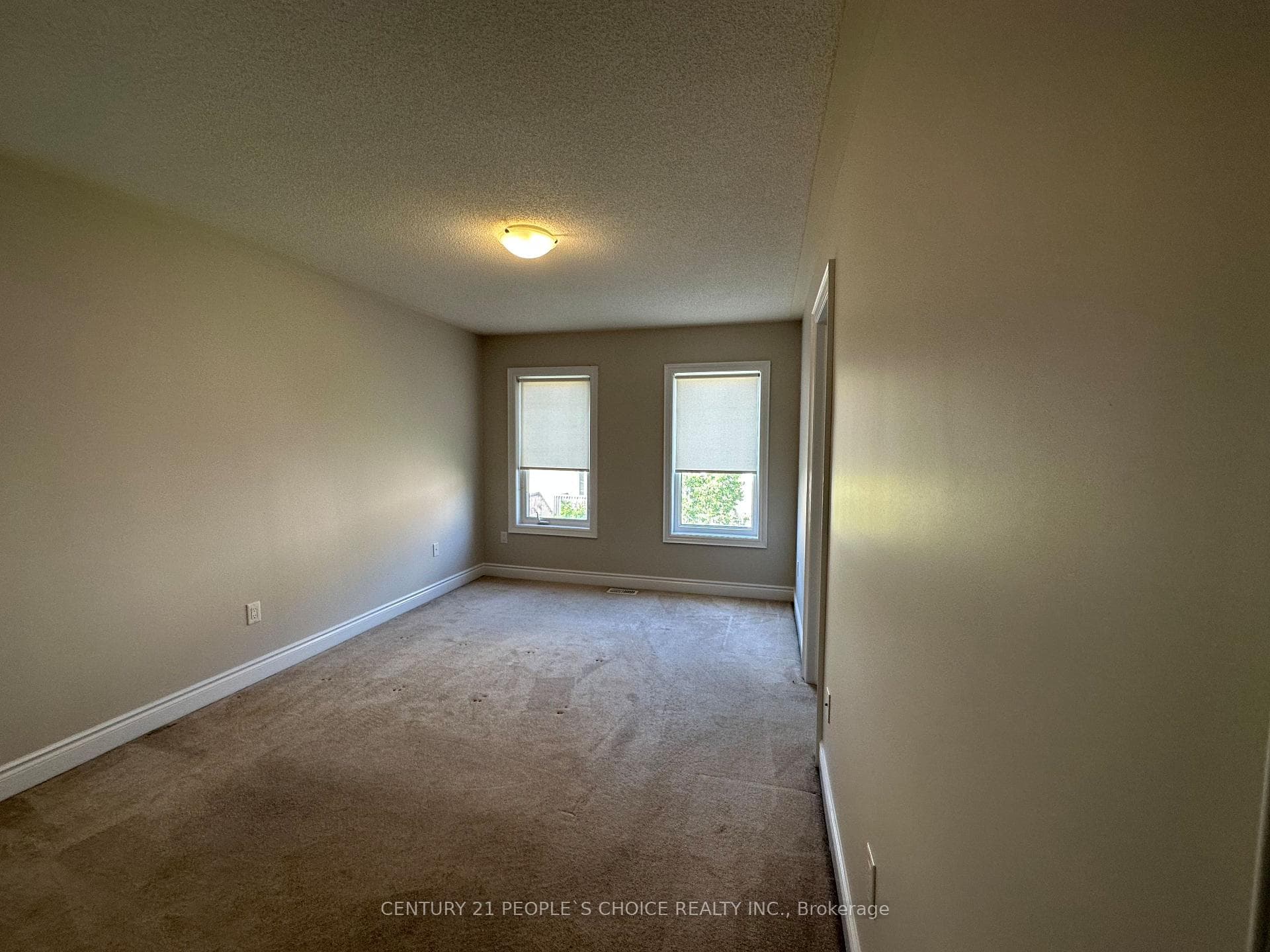 7227 Triumph Lane photo 9