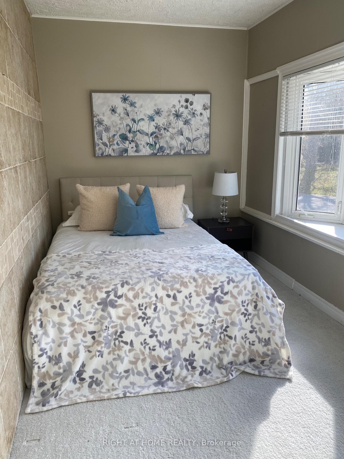 51 Frederick Street photo 10