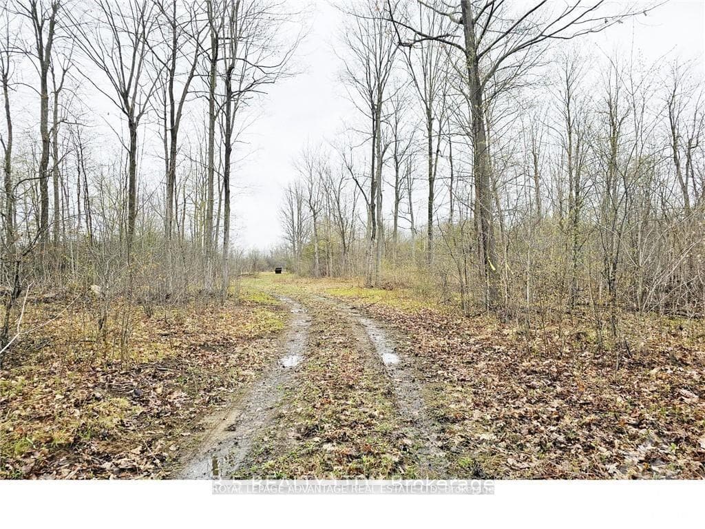 14391 COUNTY 15 Road photo 1